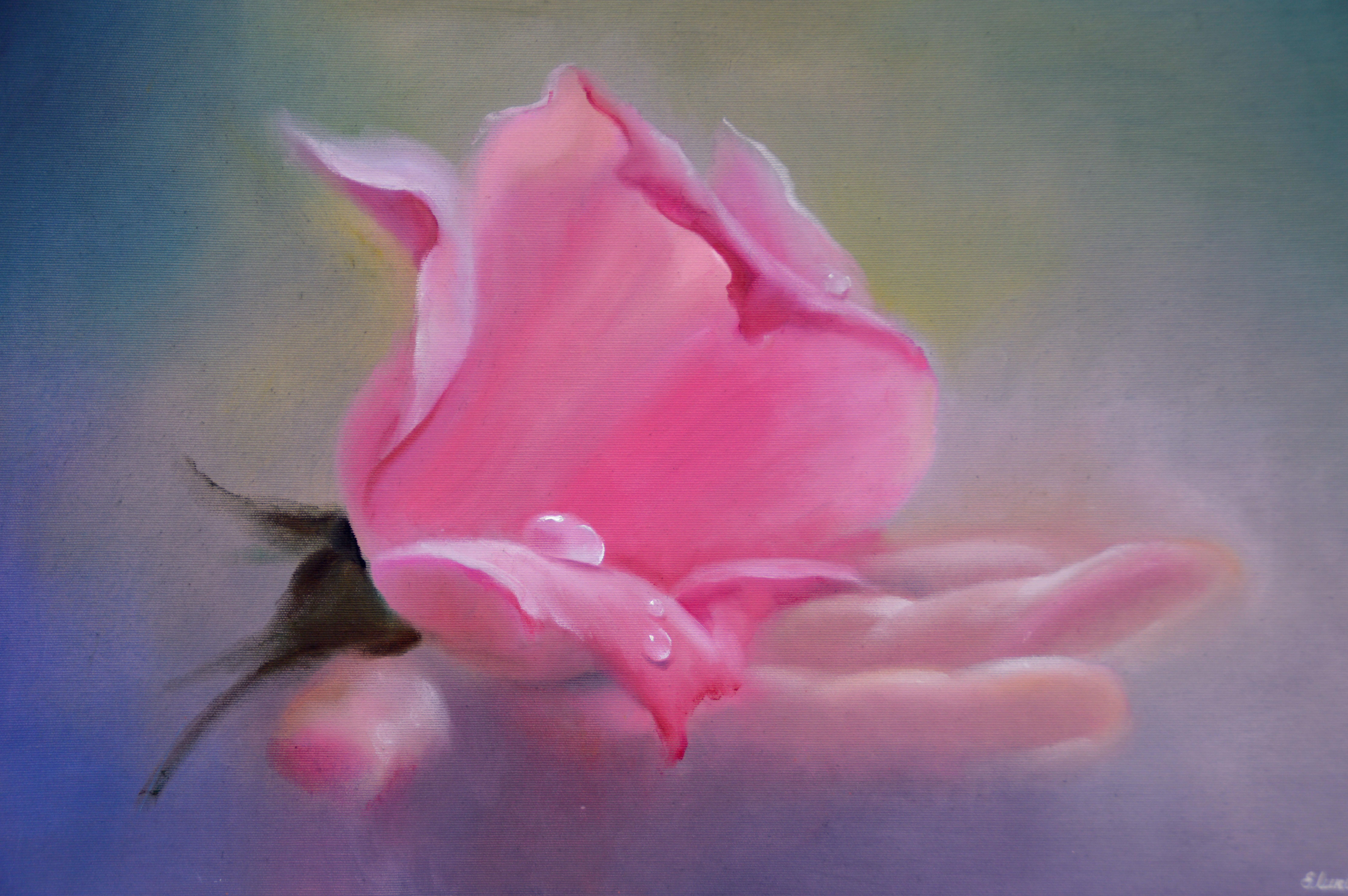 Elena Lukina Still-Life Painting - Rose in hand 50X70 oil, Valentine’s Day gifts art