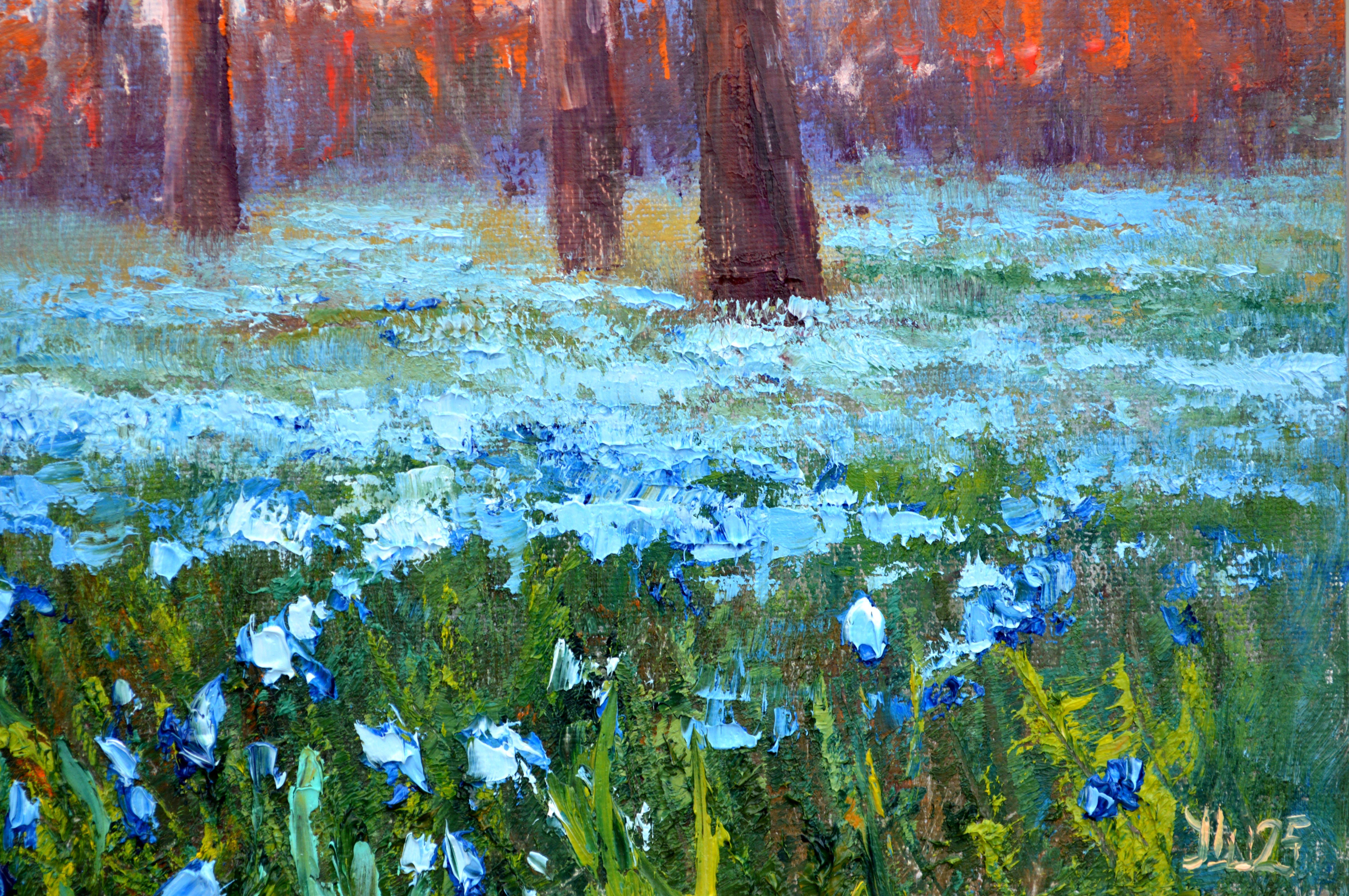 Scilla nel parco del mattino in vendita 8