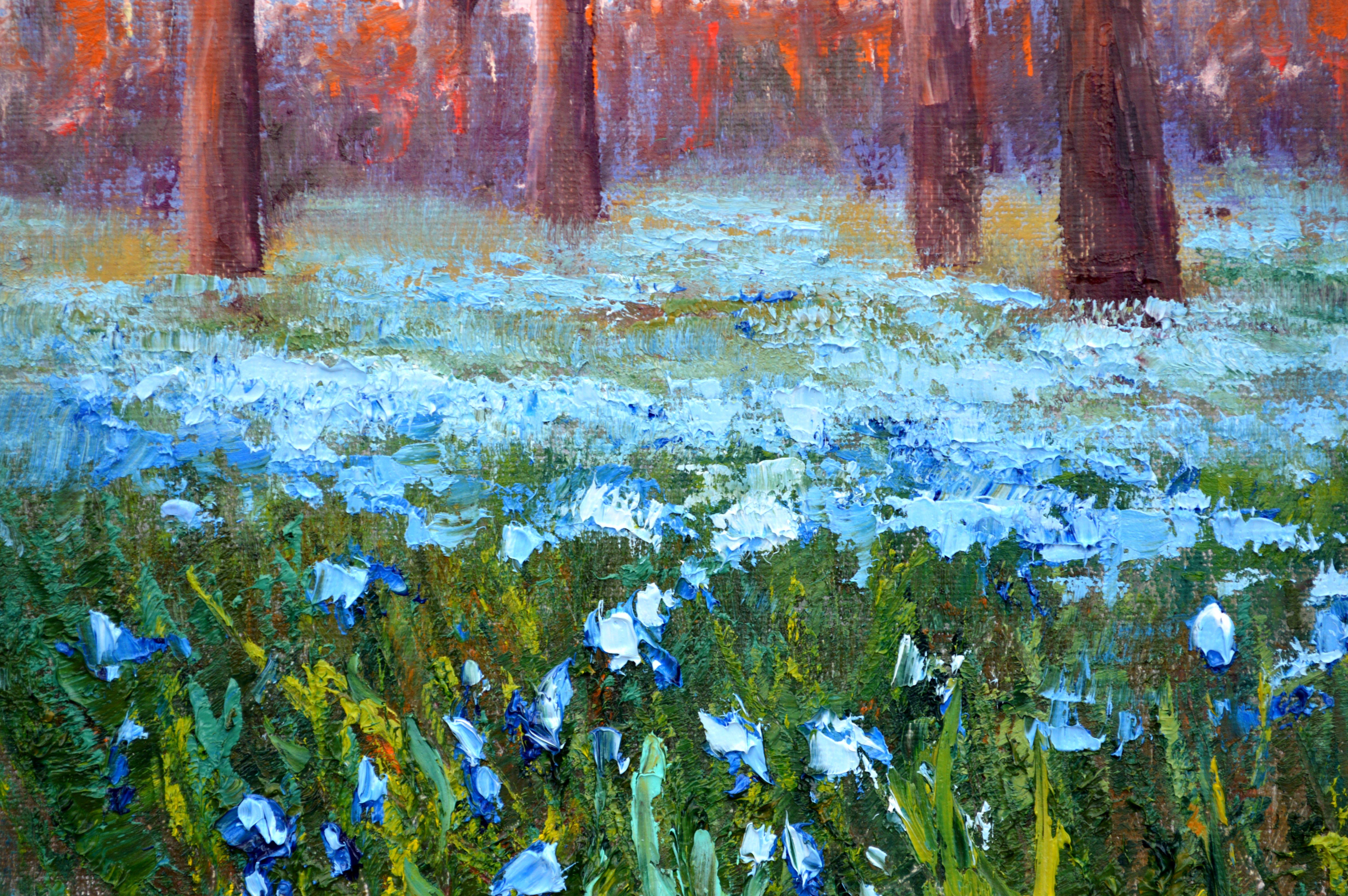 Scilla nel parco del mattino in vendita 9