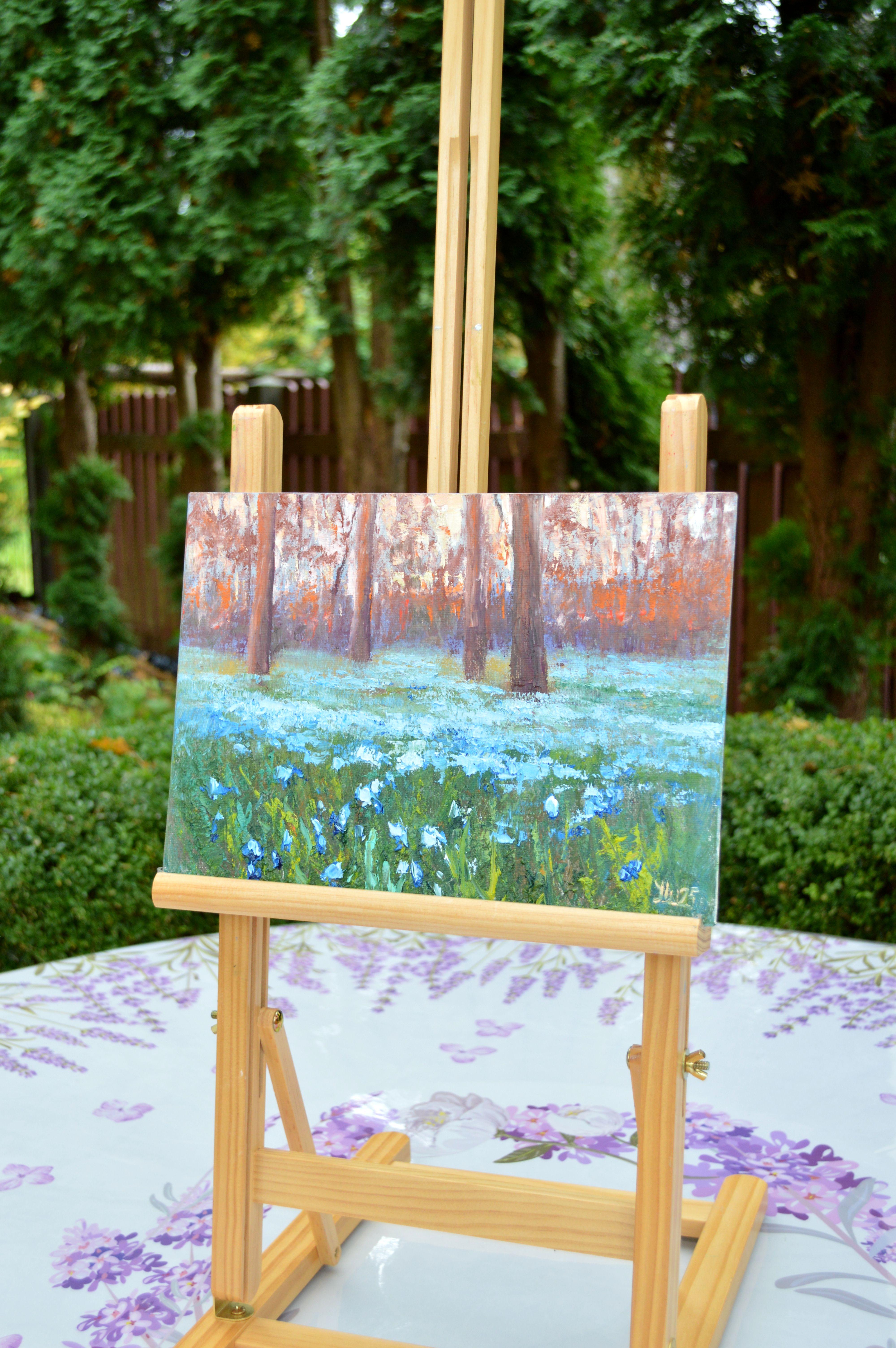 Scilla nel parco del mattino in vendita 2