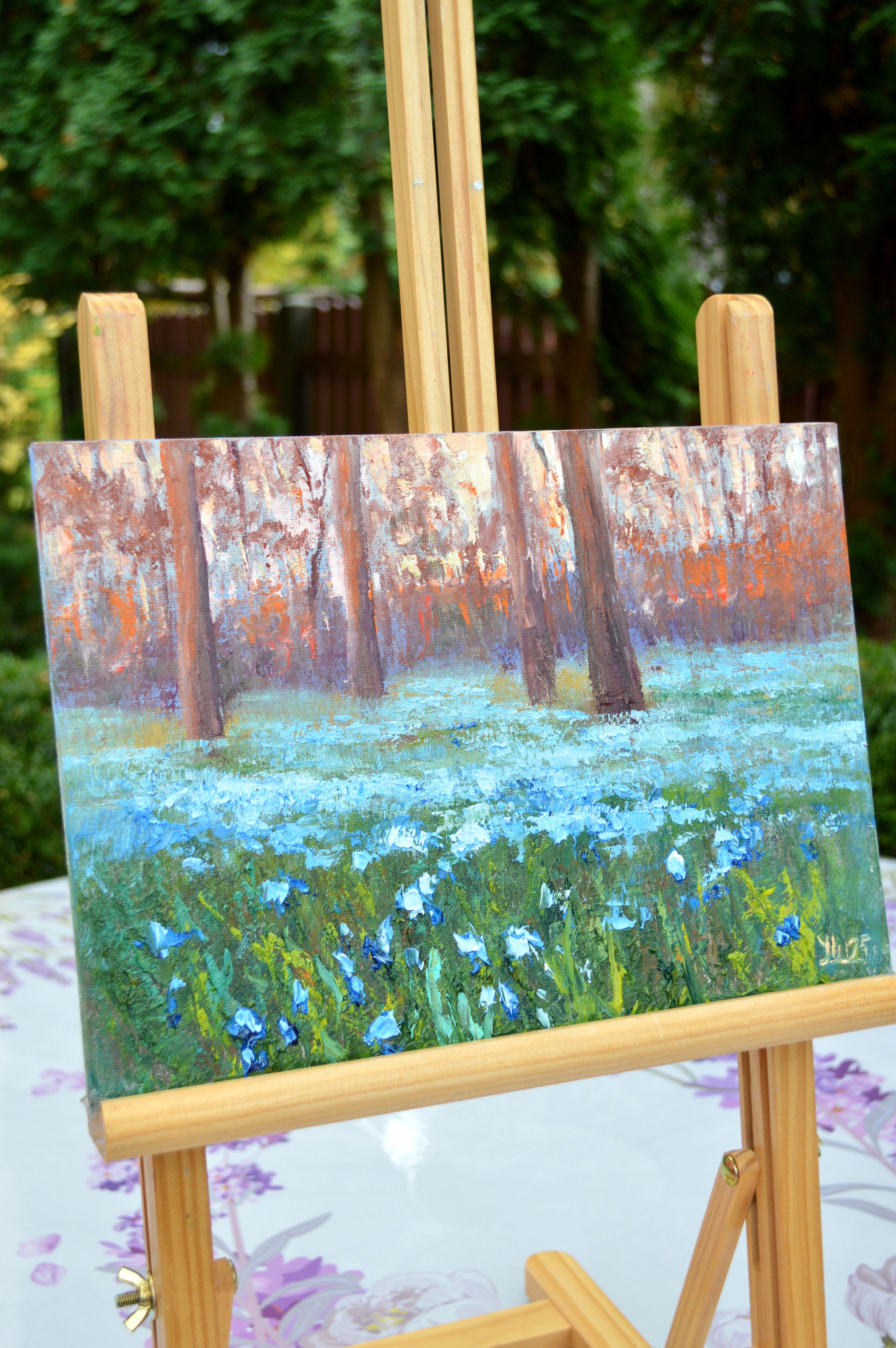 Scilla nel parco del mattino in vendita 4