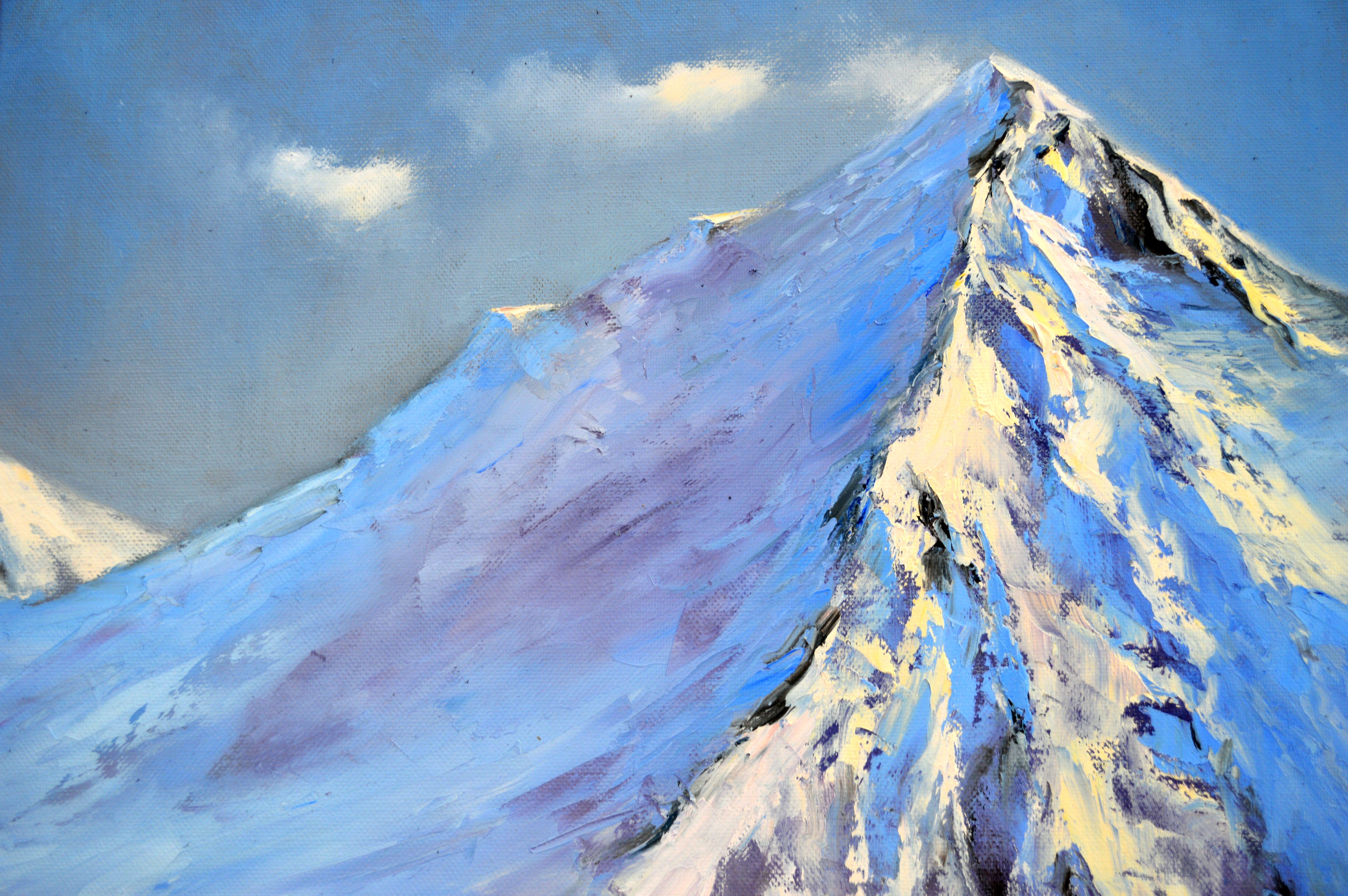 Peaks de neige 60X50 en vente 5