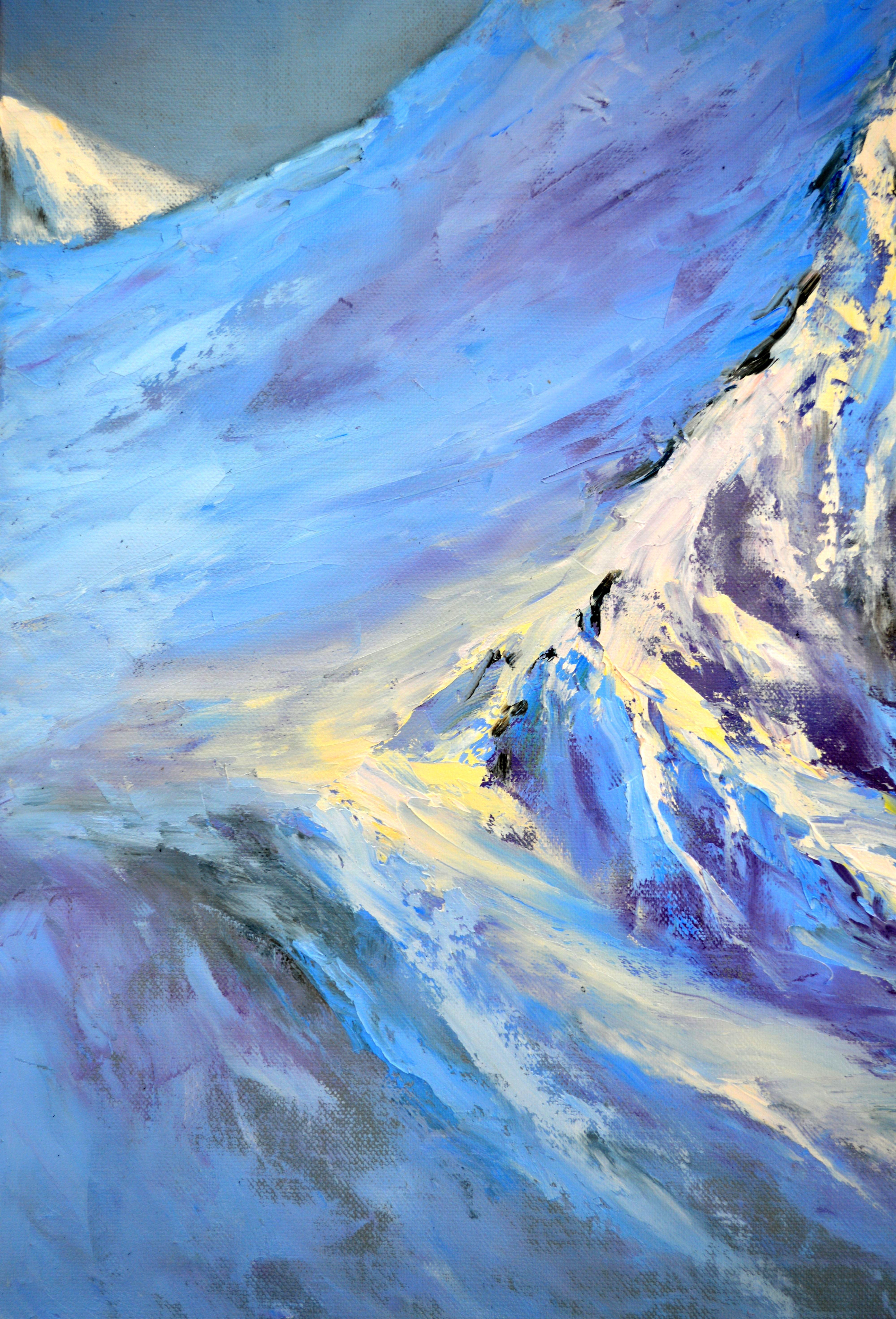 Peaks de neige 60X50 en vente 8