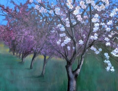Primavera en el jardín