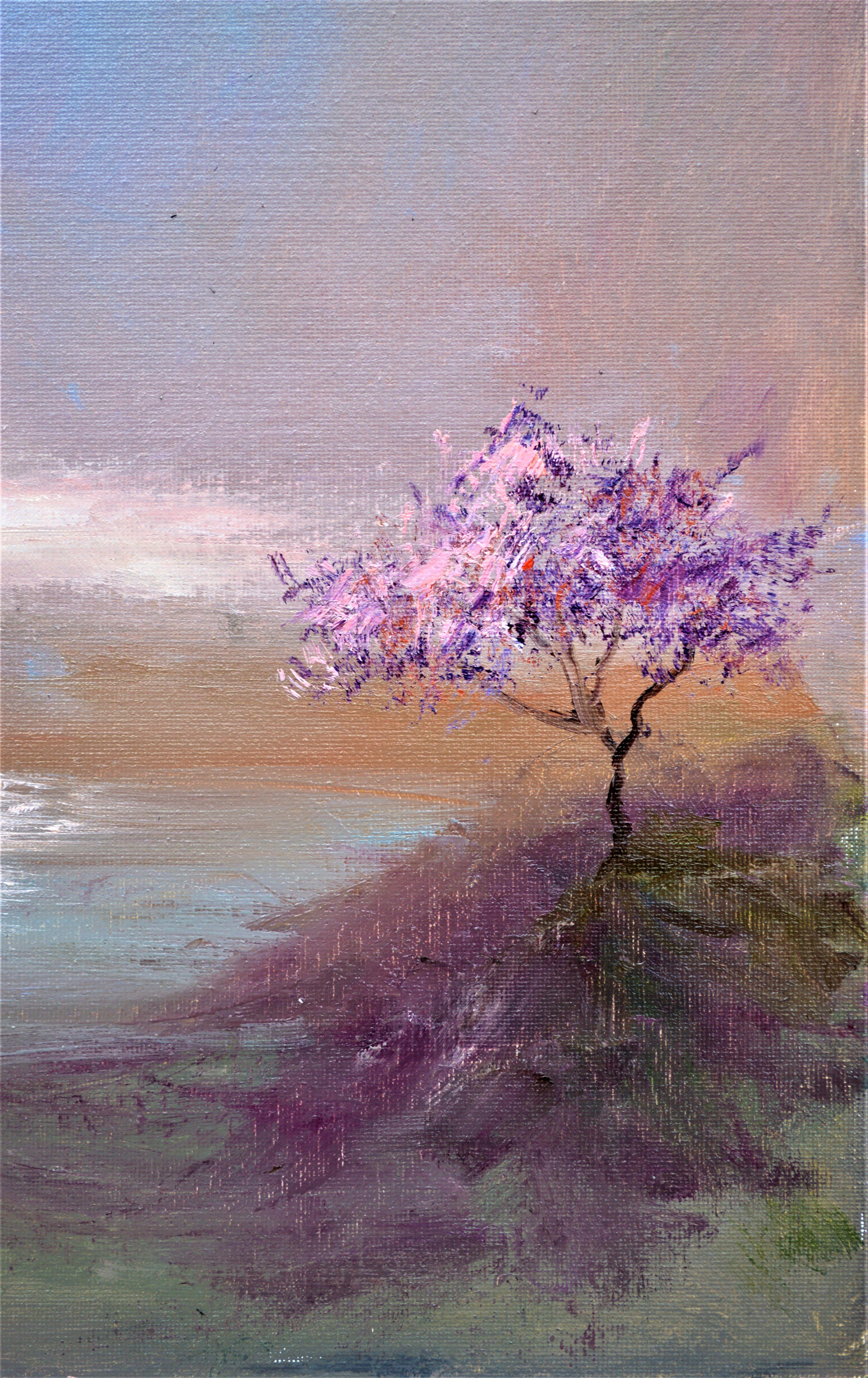 Spring morning For Sale 4