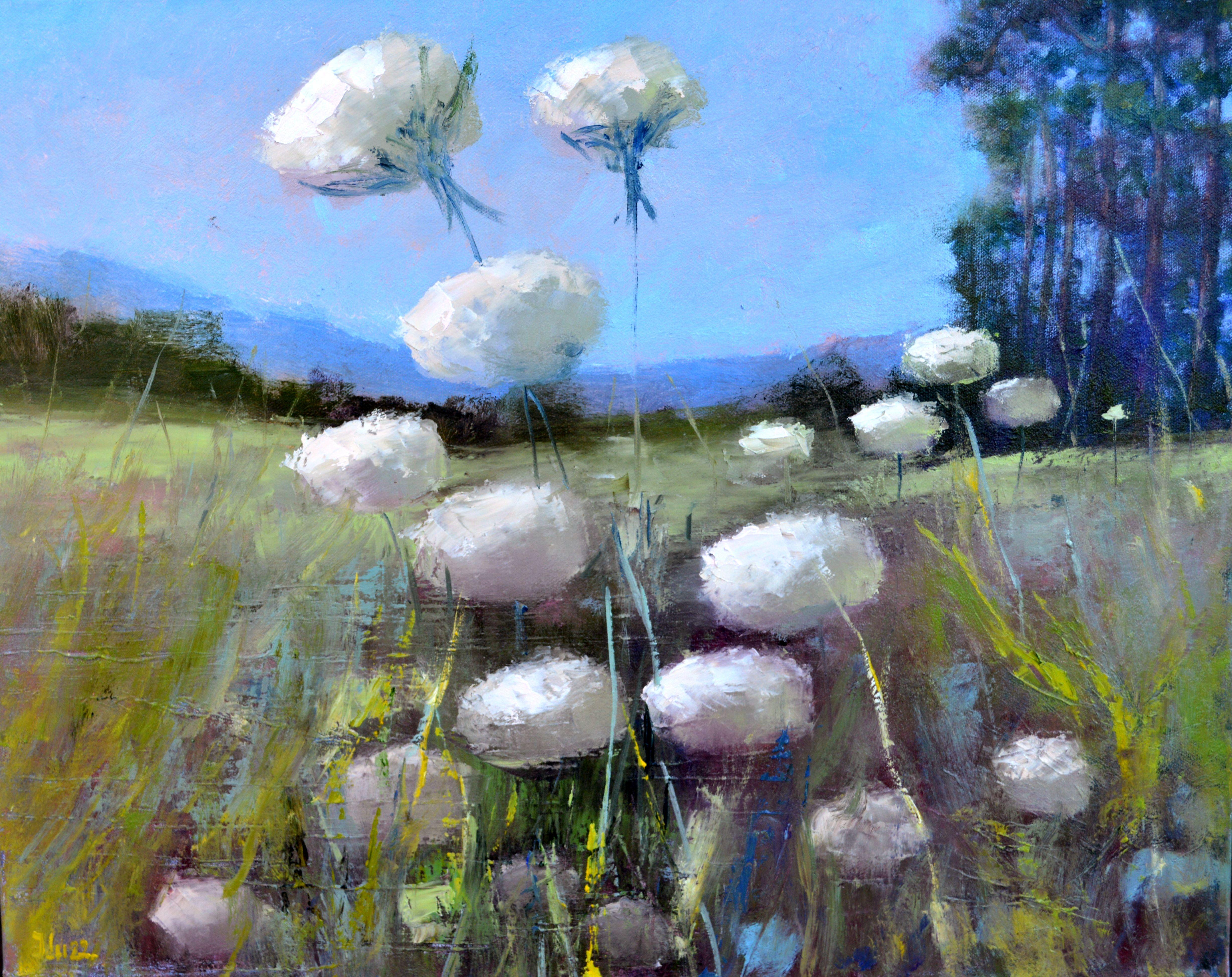Sommerliche Wildkräuter auf dem Feld