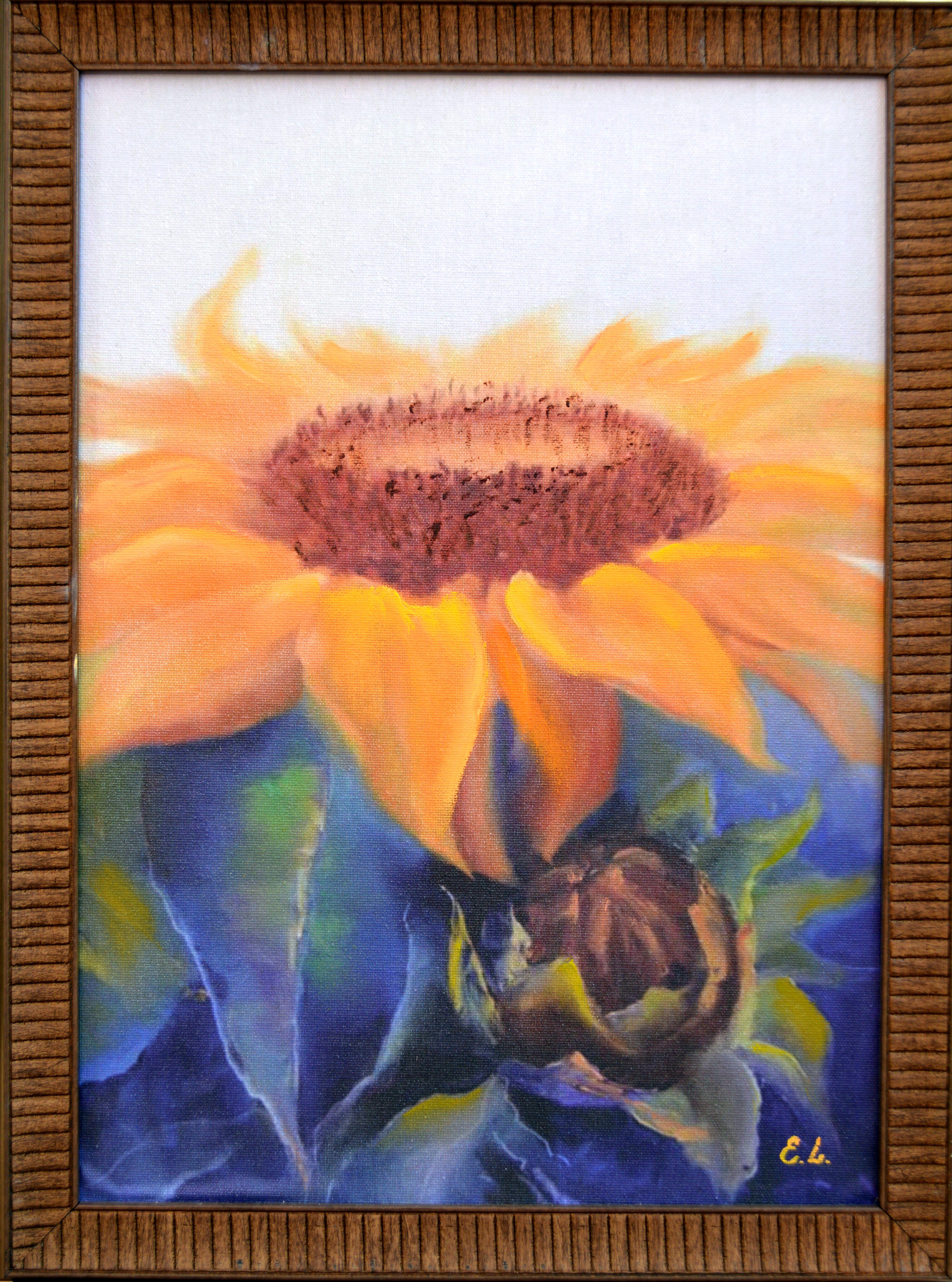 Tournesol