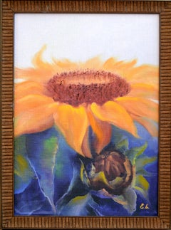 Girasole