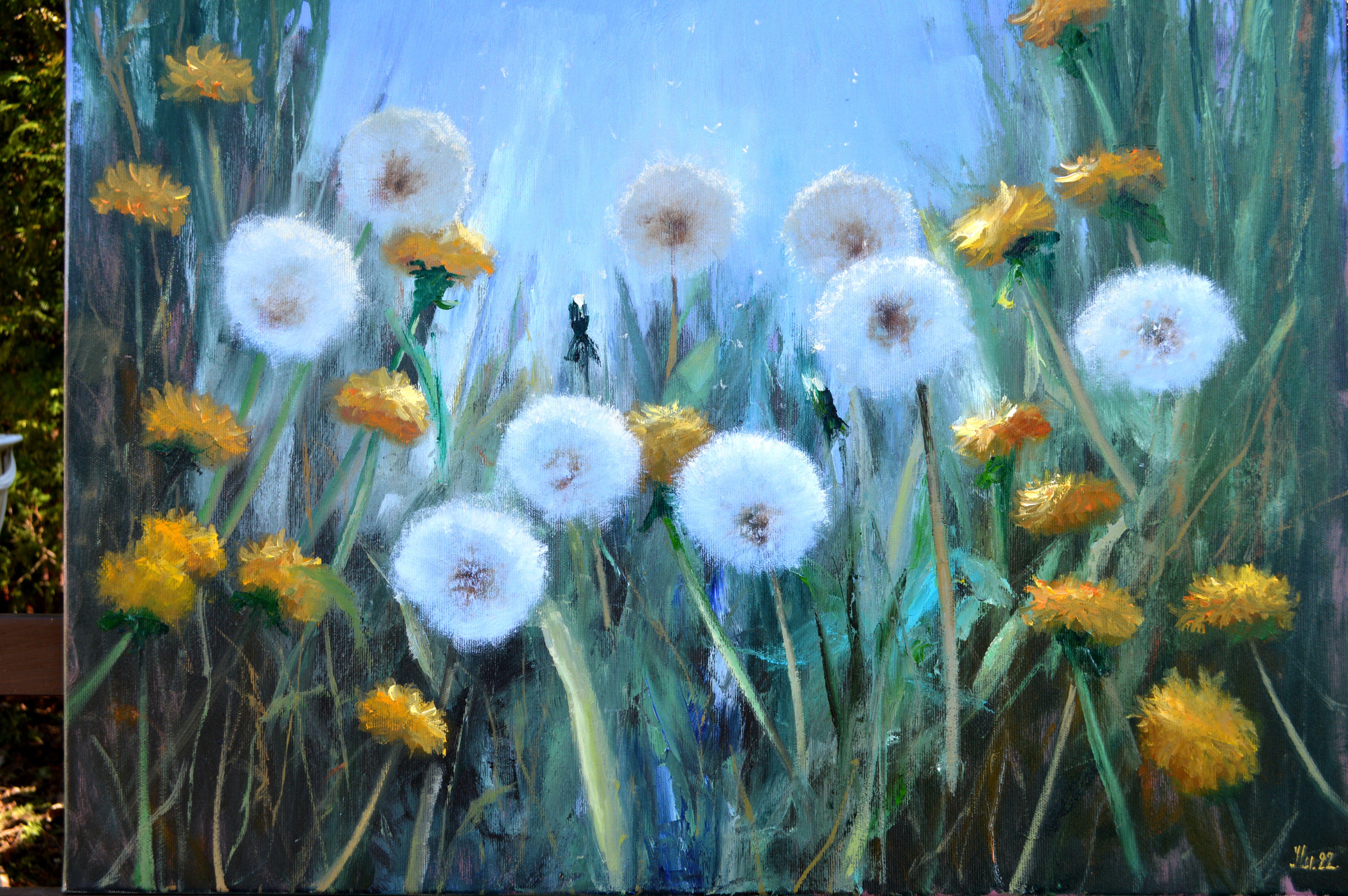 Sunny dandelions 50X70 For Sale 9