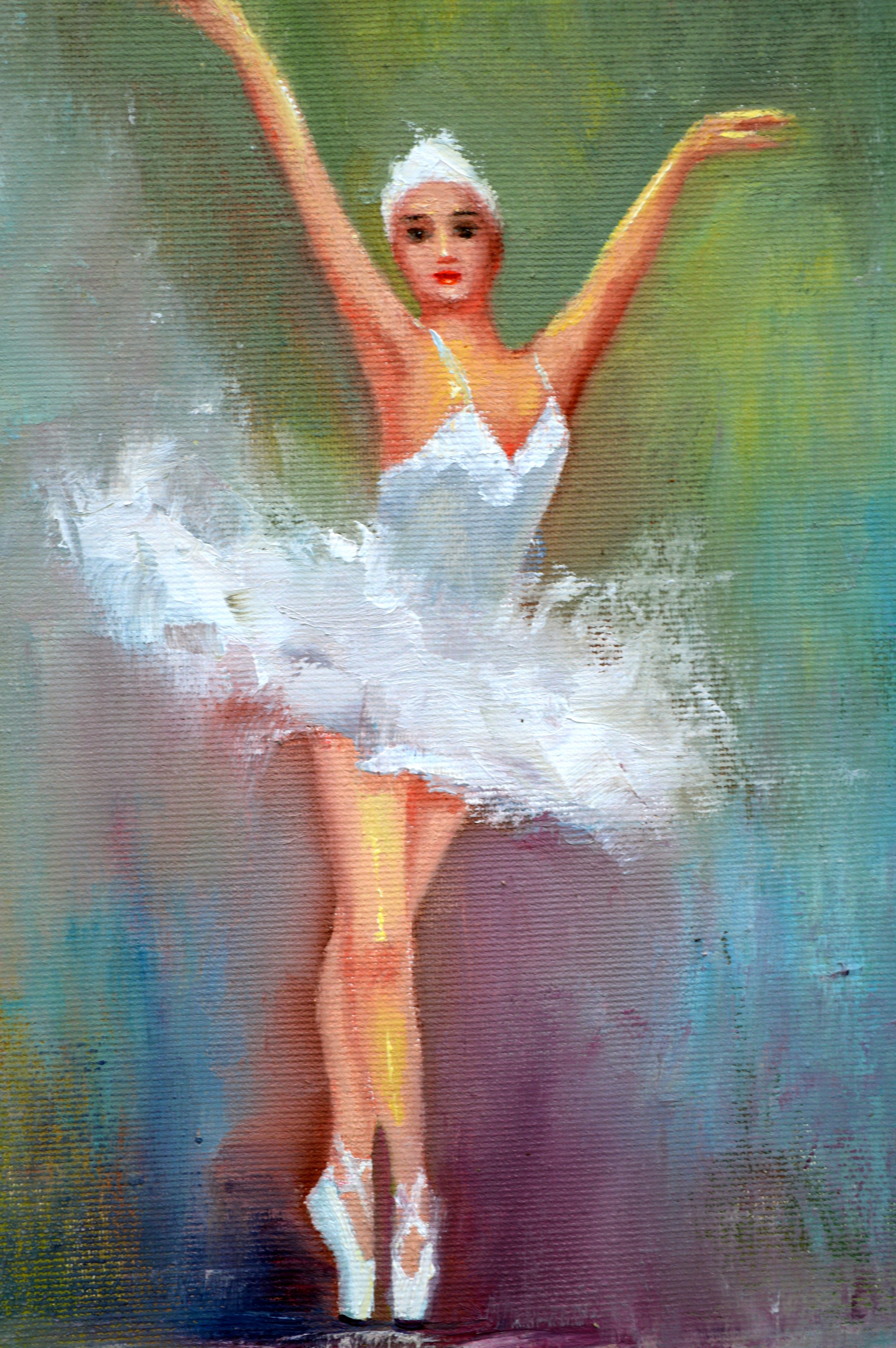 Cigno in vendita 6