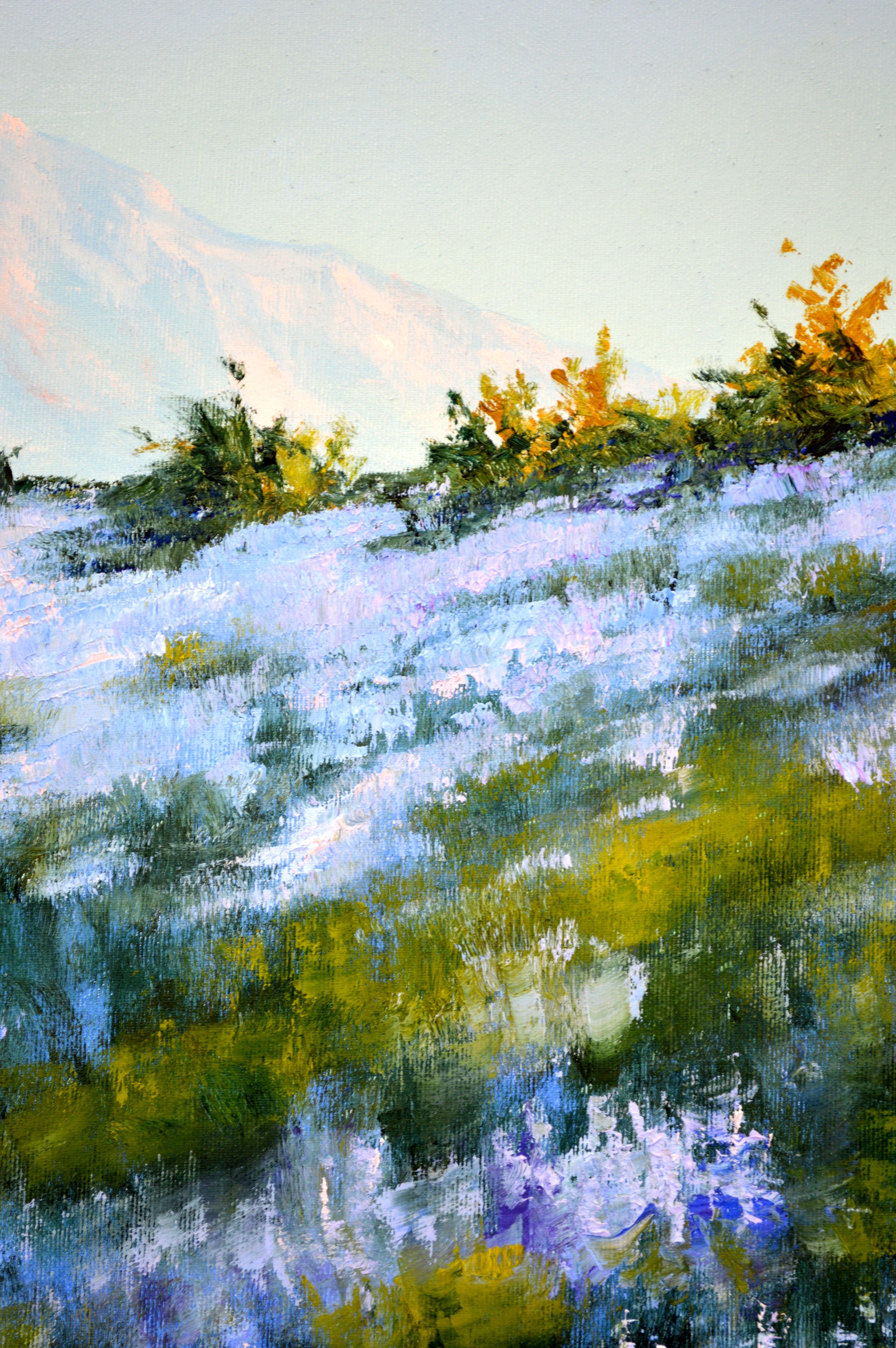 Wilder Lavendel im Dunst der Morgensonne im Angebot 5