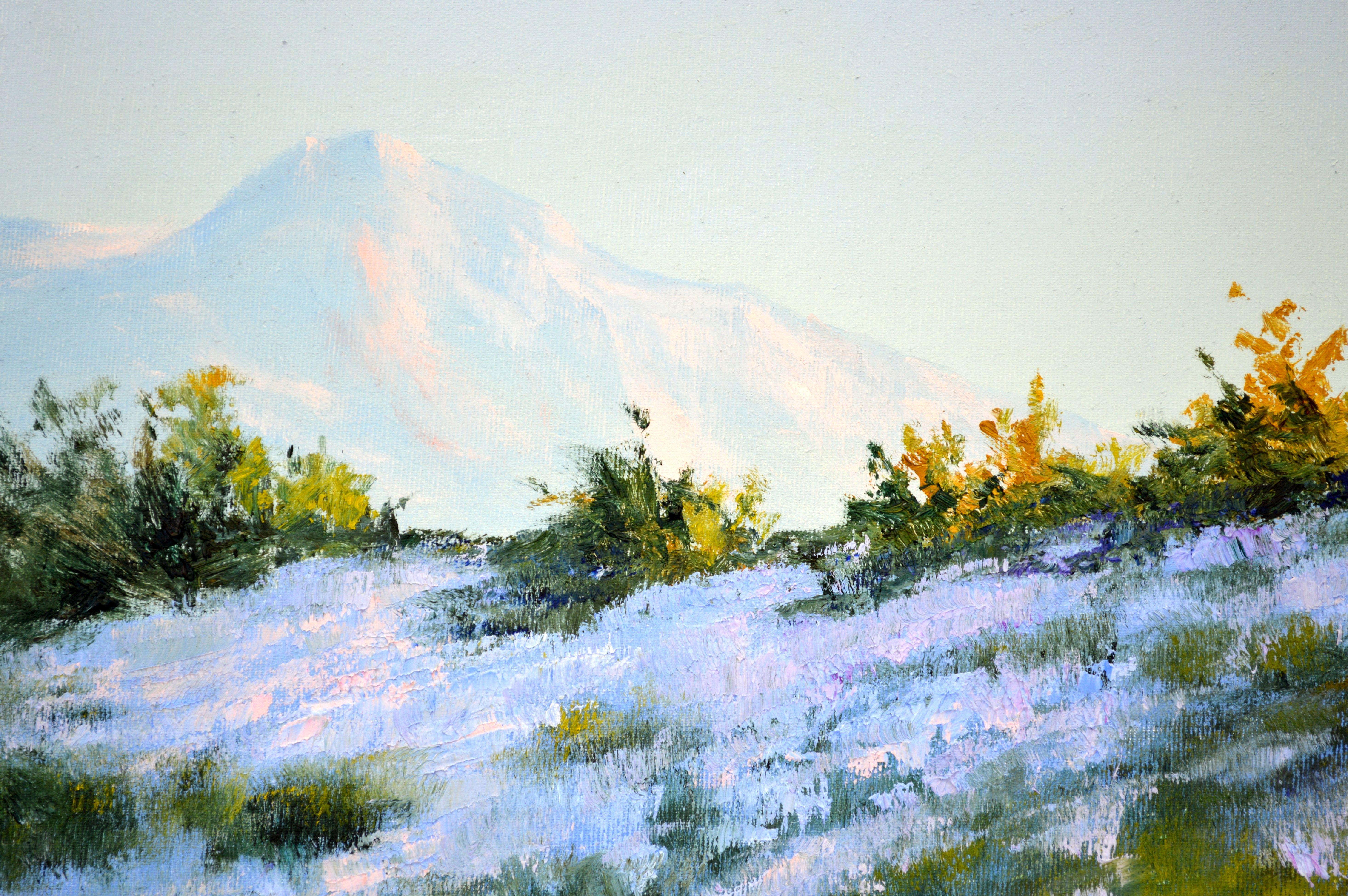 Wilder Lavendel im Dunst der Morgensonne im Angebot 7