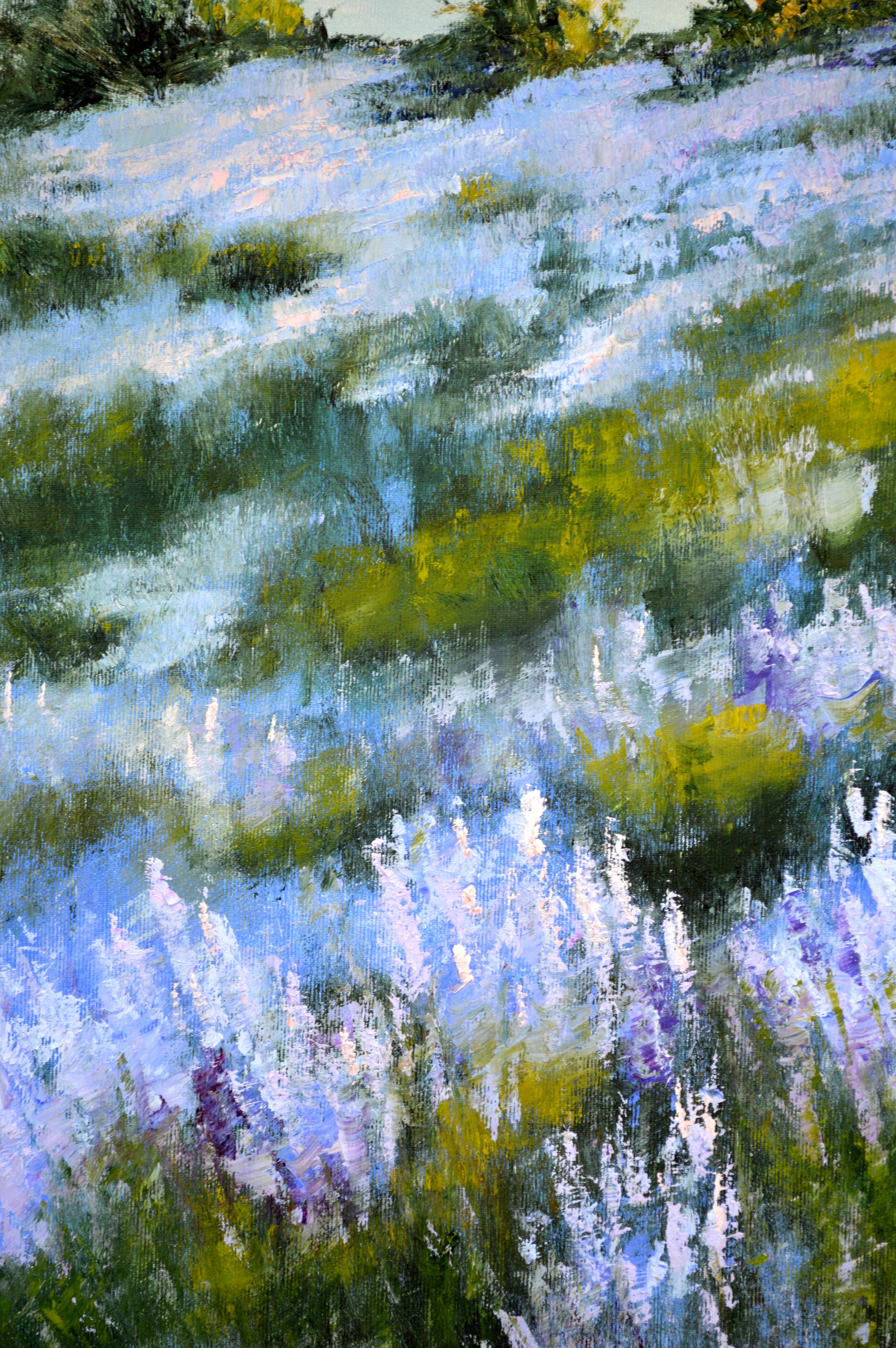 Wilder Lavendel im Dunst der Morgensonne im Angebot 4