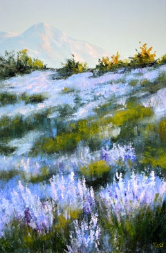 Wild lavender in the haze of the morning sun