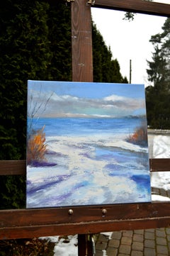 Costa de invierno 40X40