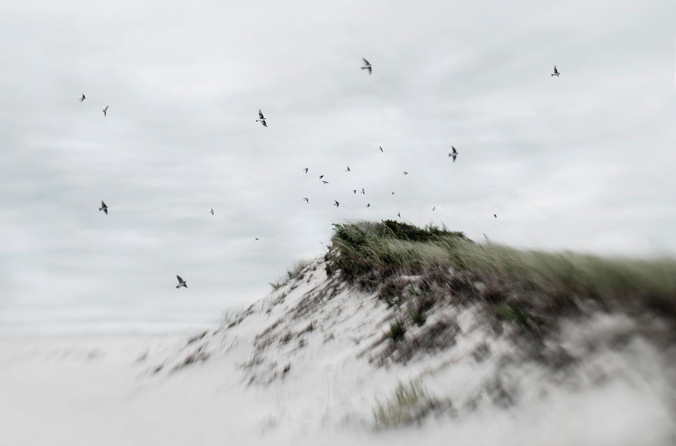 Américain Elena Lyakir Diptych, Indian Summer and Learning To Dream Photographs (Photographies d'été indiennes et d'apprentissage du rêve), 2017 en vente