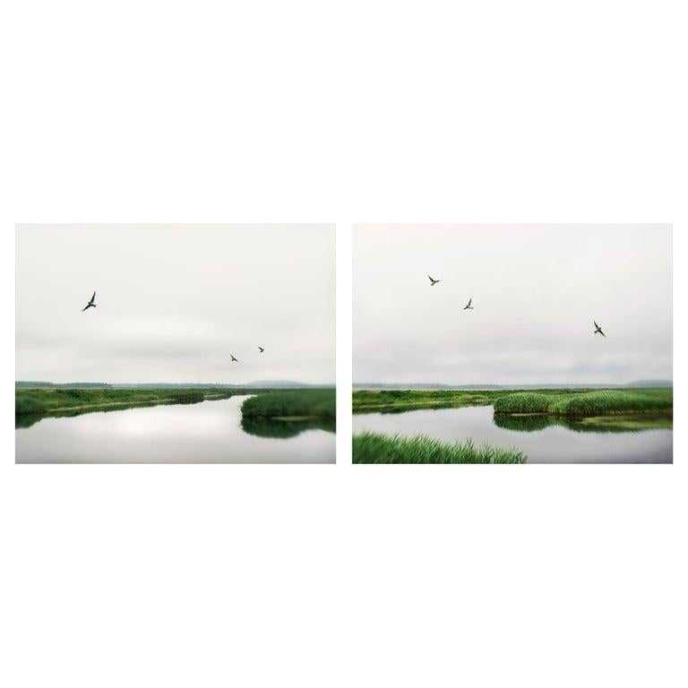 Contemporary New York artist Elena Lyakir's Diptych, When We Were Three and The Inevitable, was photographed in 2019 and are part of her Aves Series. It's an ongoing exploration of how we relate to the visual experience emotionally. Images represent