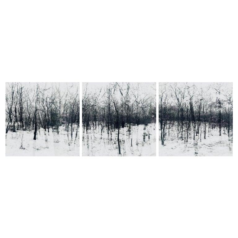 Contemporary New York artist Elena Lyakir's Triptych, Feels Like Home. Bridgehampton NY, was photographed in 2016 and is part of her City Parks Romance Series. Elena composed in-camera double exposures of small pockets of nature, city parks and