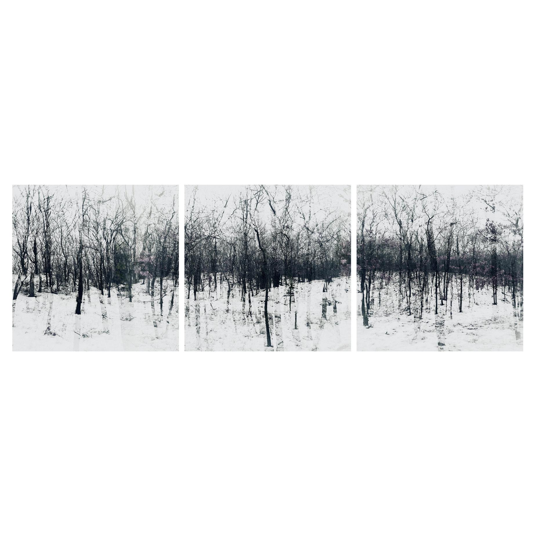 Elena Lyakir Triptych, Feels Like Home. Bridgehampton, NY Photograph, 2016