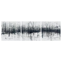 Triptyque Elena Lyakir, qui donne l'impression d'être à sa maison. Photographie de Bridgehampton, NY, 2016