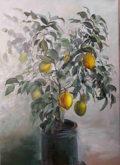 Lemon Tree - Oil Painting by Elena Mardashova - 2020