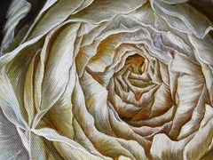 Cream rose on dark brown background, Painting, Oil on Canvas