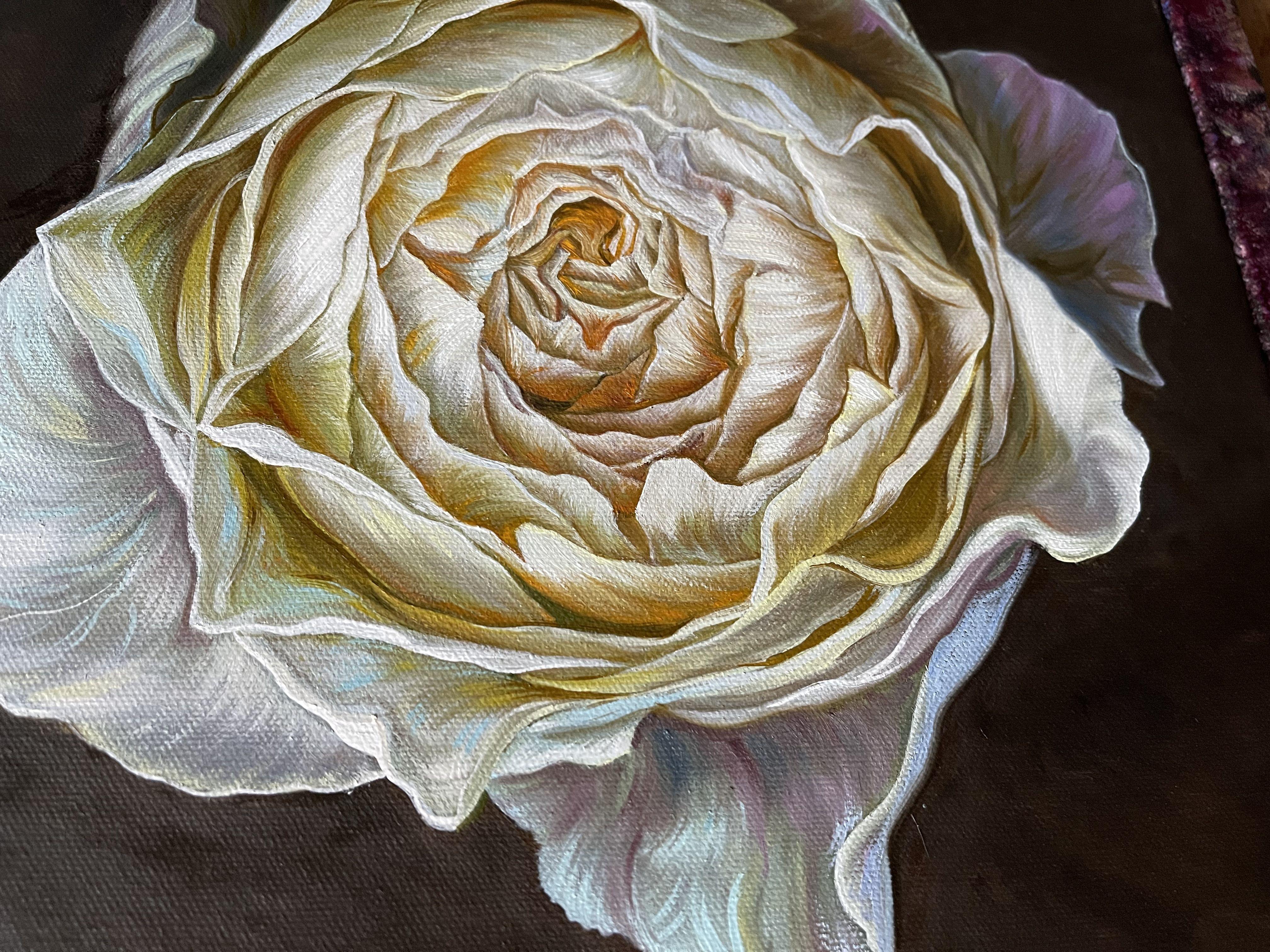 Cream rose on dark brown background, Painting, Oil on Canvas For Sale 3