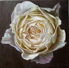 Cream rose on dark brown background, Painting, Oil on Canvas