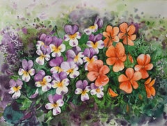 Pansies