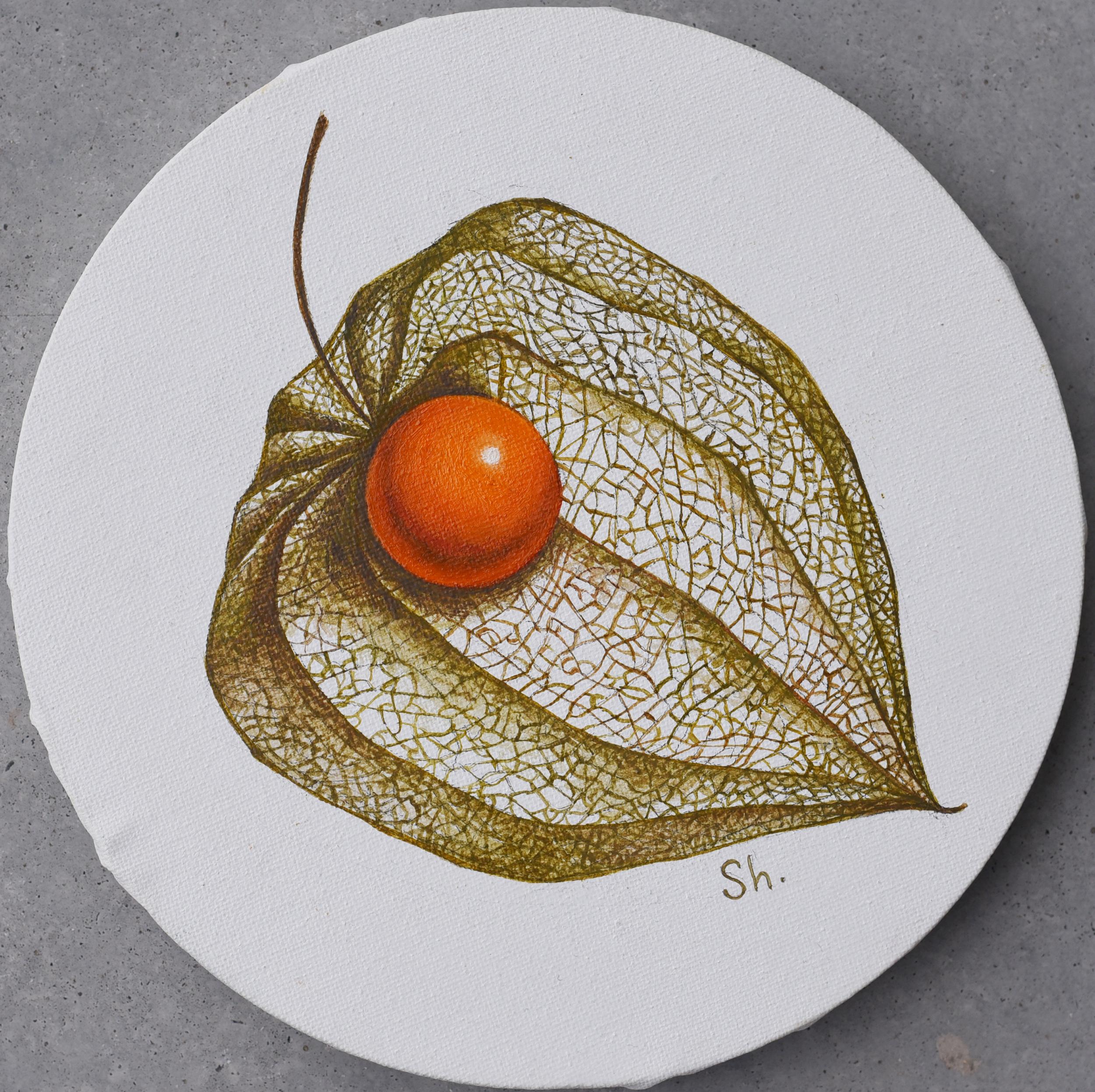 Physalis Früchte gemalt mit Ölfarben auf einer runden Leinwand