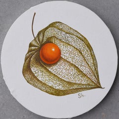 Fruits de Physalis peints à l'huile sur une toile ronde