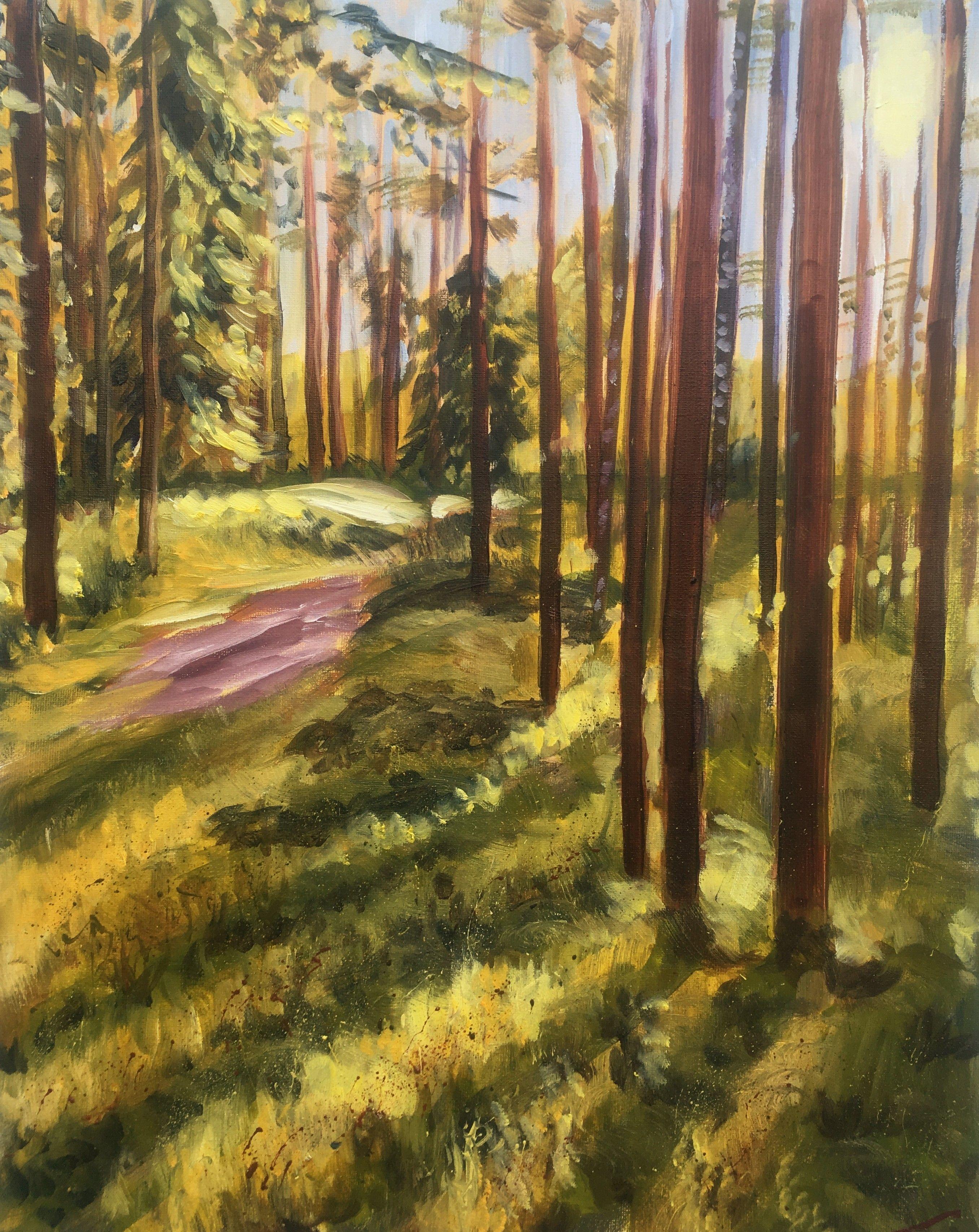 Elena Sokolova Landscape Painting - Forest in evening light, Painting, Oil on Canvas