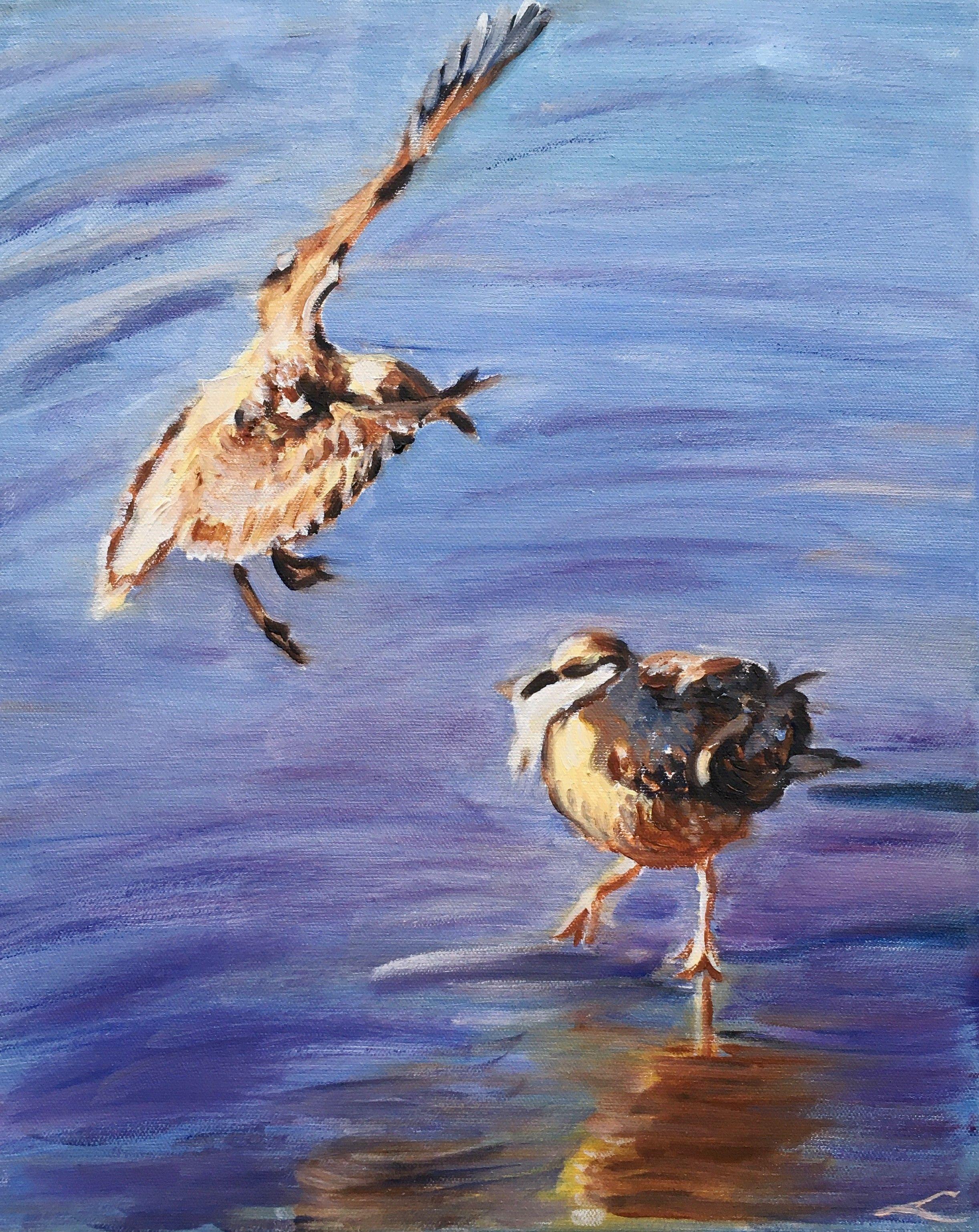 Two seagulls figting for the fish. Alla prima oil painting with few final tuches when dry. Beach Paintings always inspire thoughts of holidays, long walks, warm breezes and relaxation. beach and ocean themed paintings that will bring the outdoors