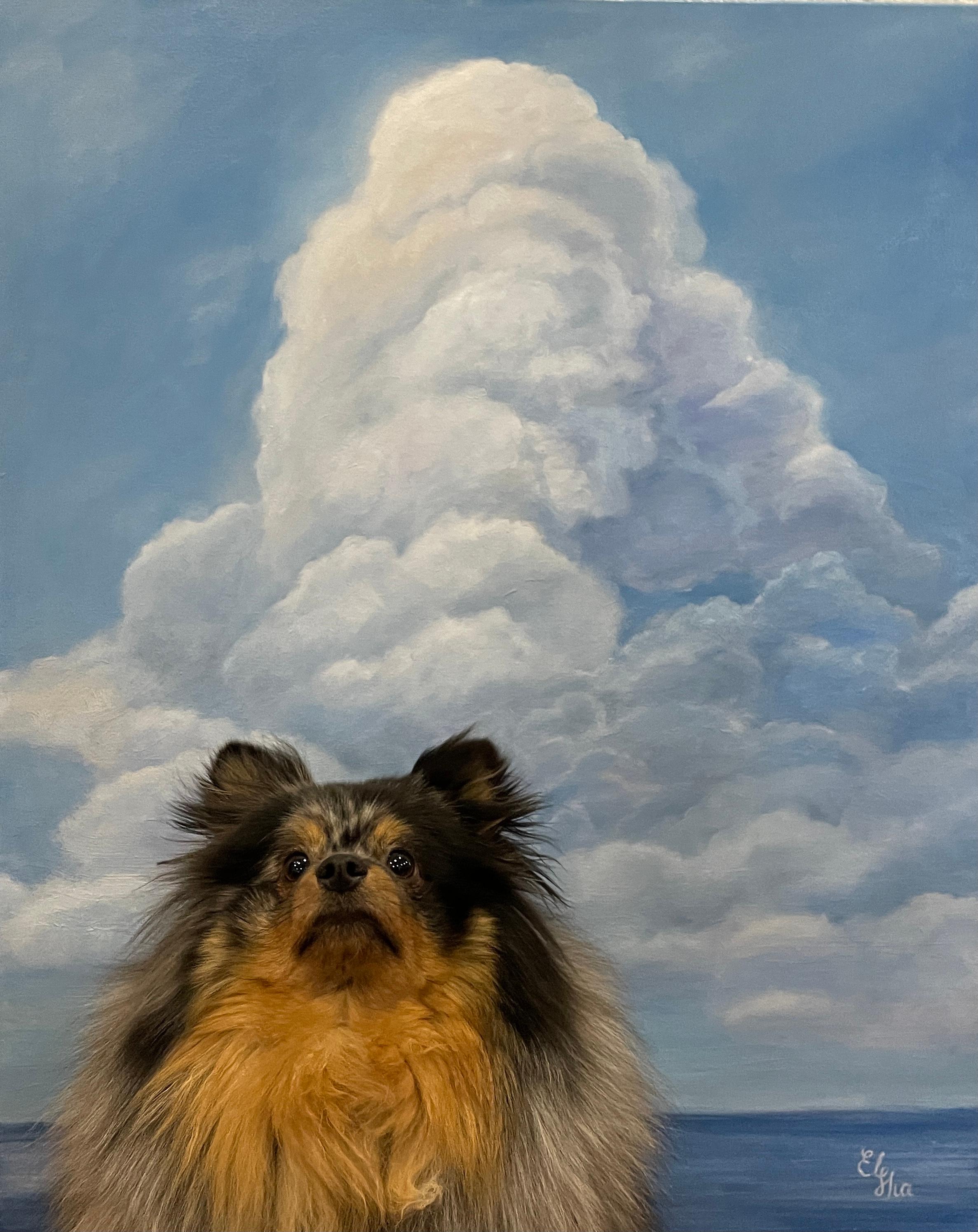 Sueños en las nubes en venta 6
