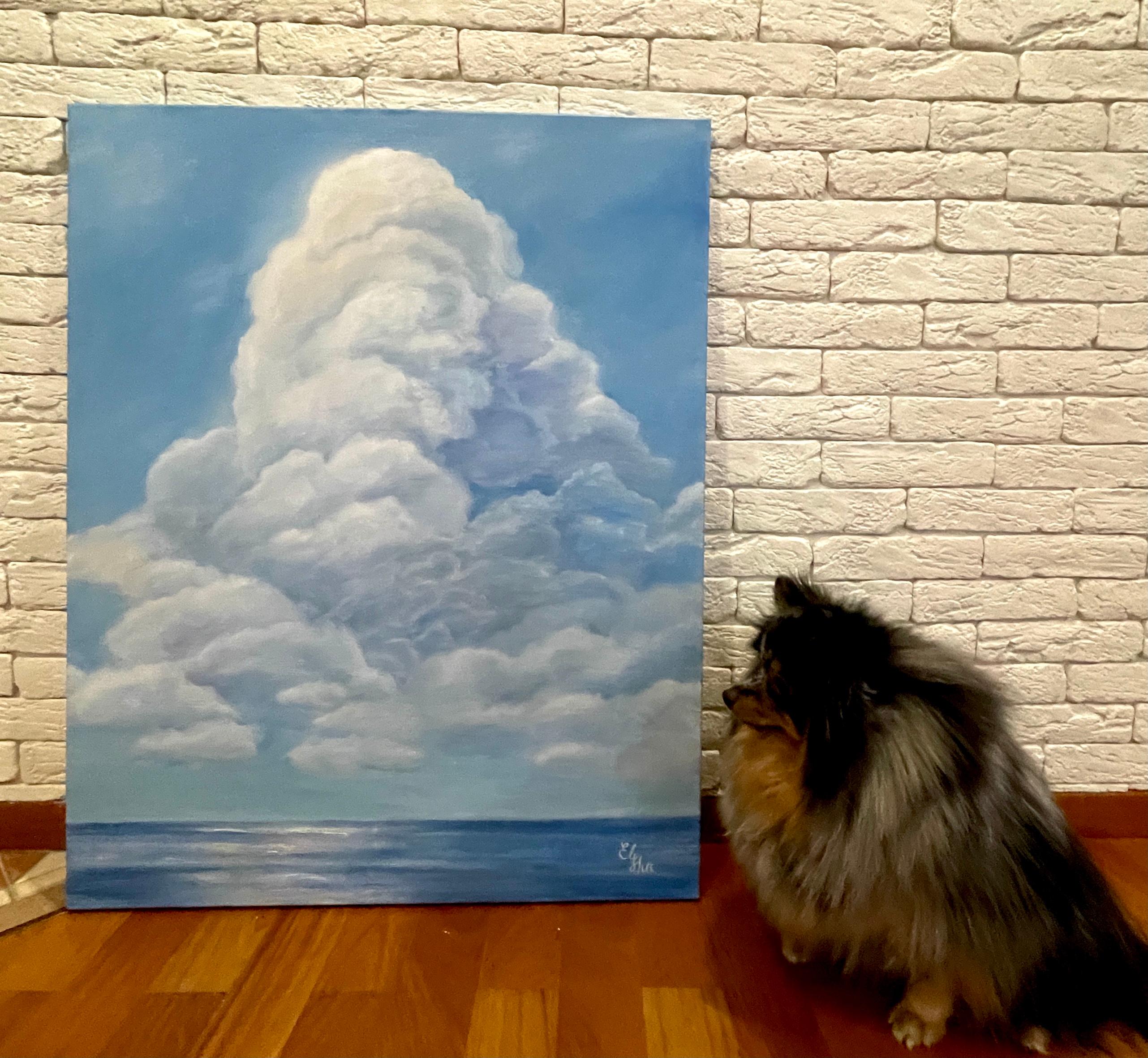 Sueños en las nubes en venta 7