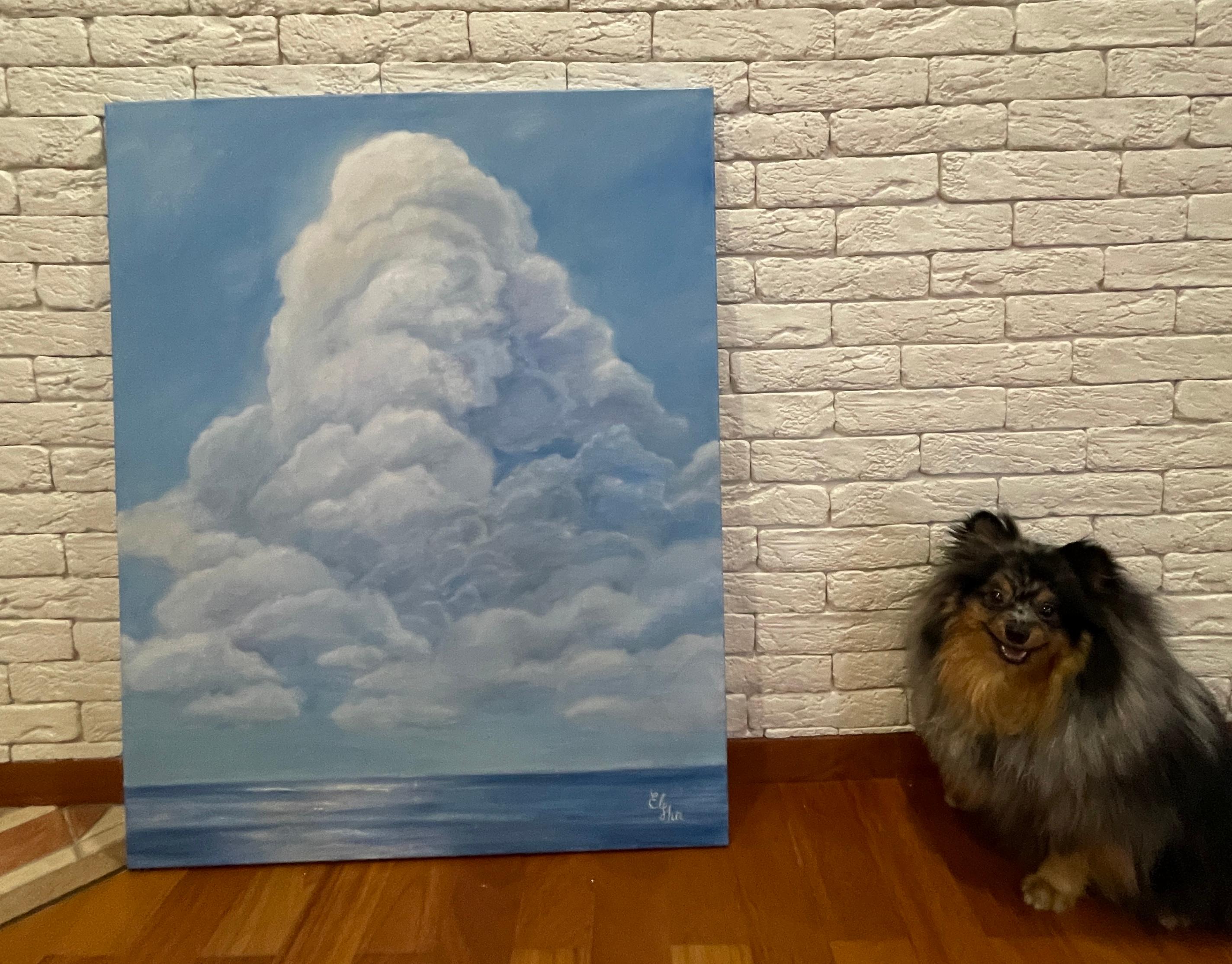Sueños en las nubes en venta 8