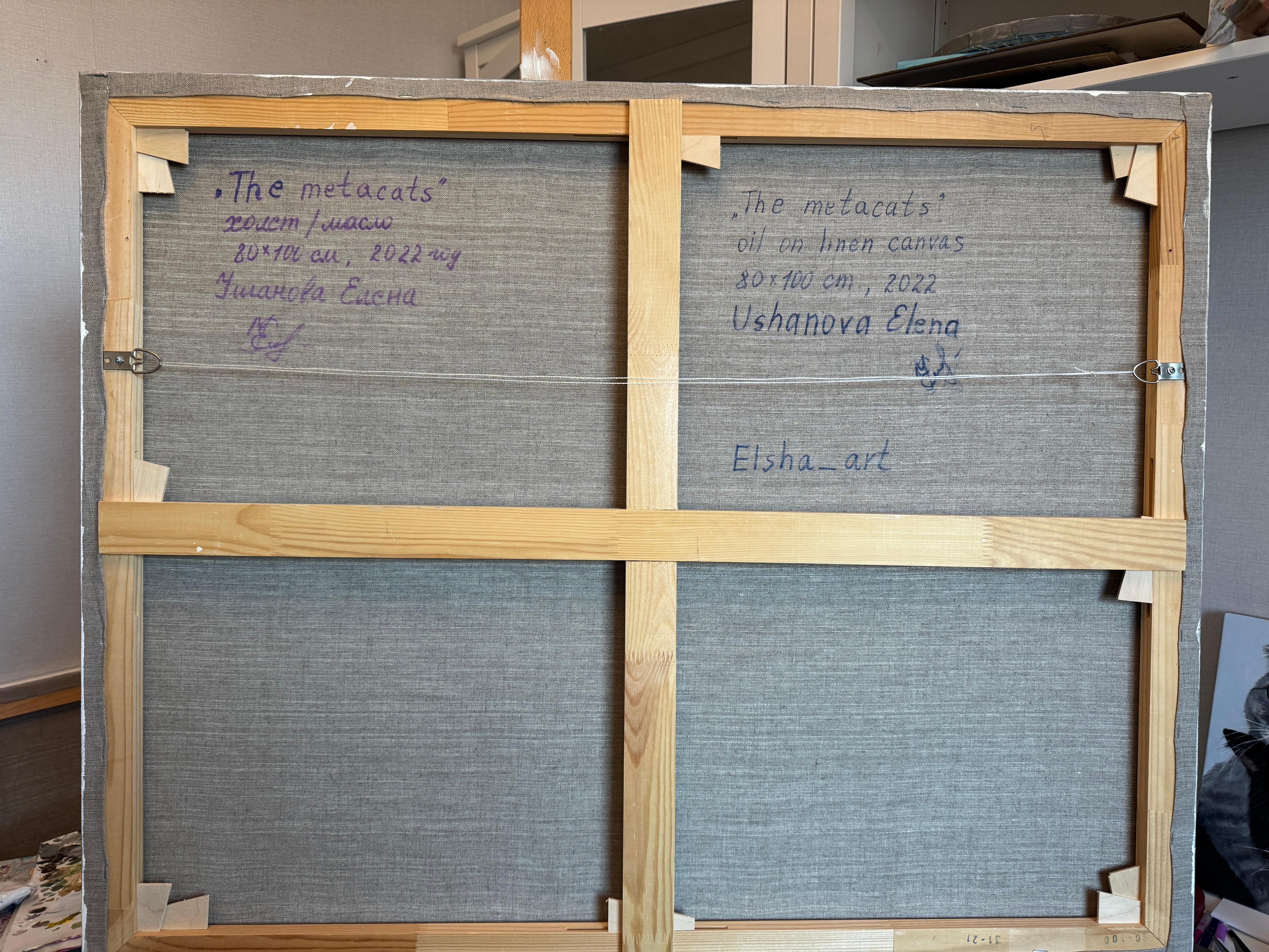 Die Meta-Katzen im Angebot 9