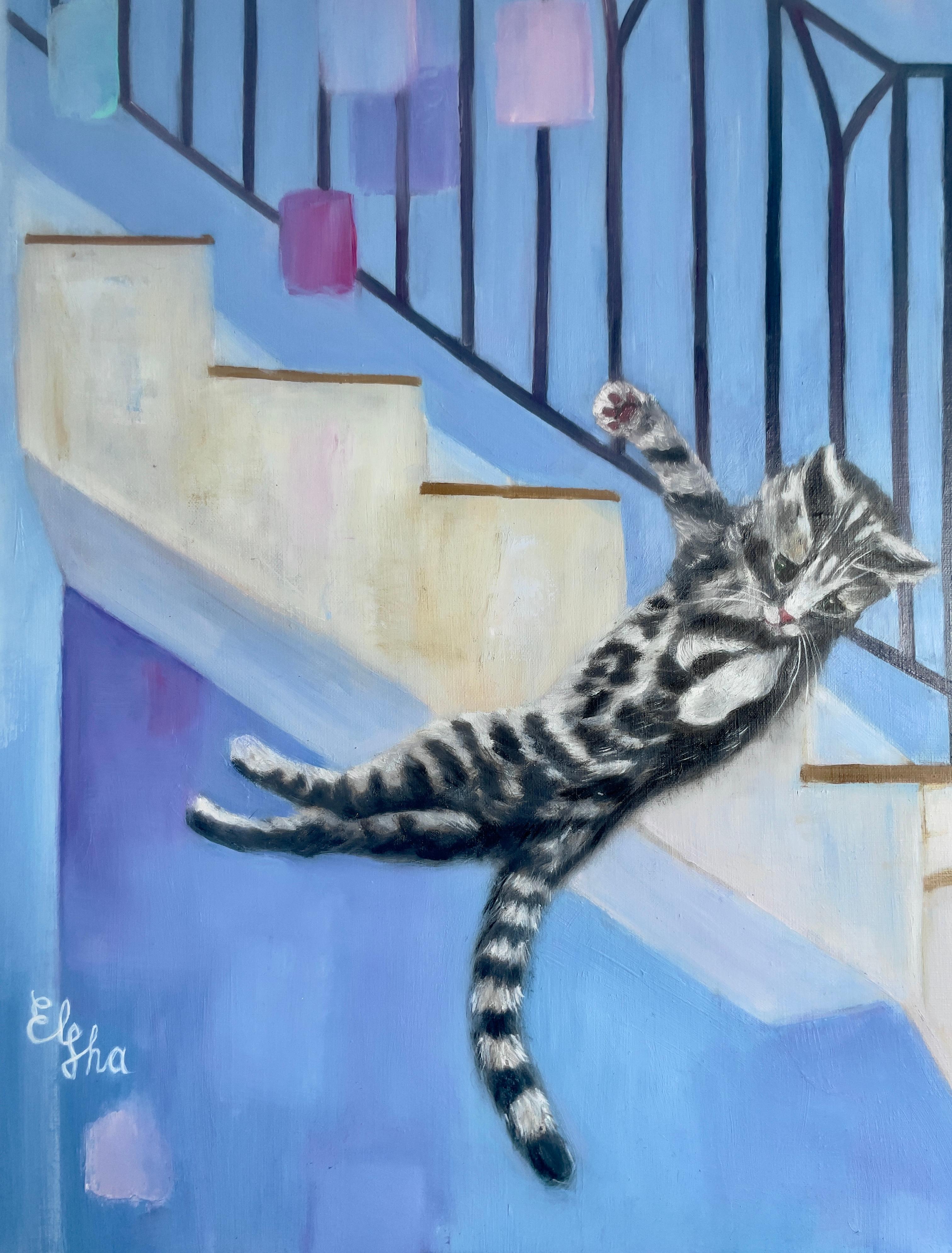 Die Meta-Katzen im Angebot 2