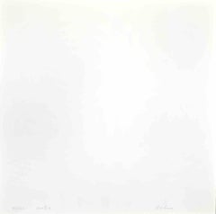 Green Cosmos - Red - Lithograph by Eleni Zerva - 1971