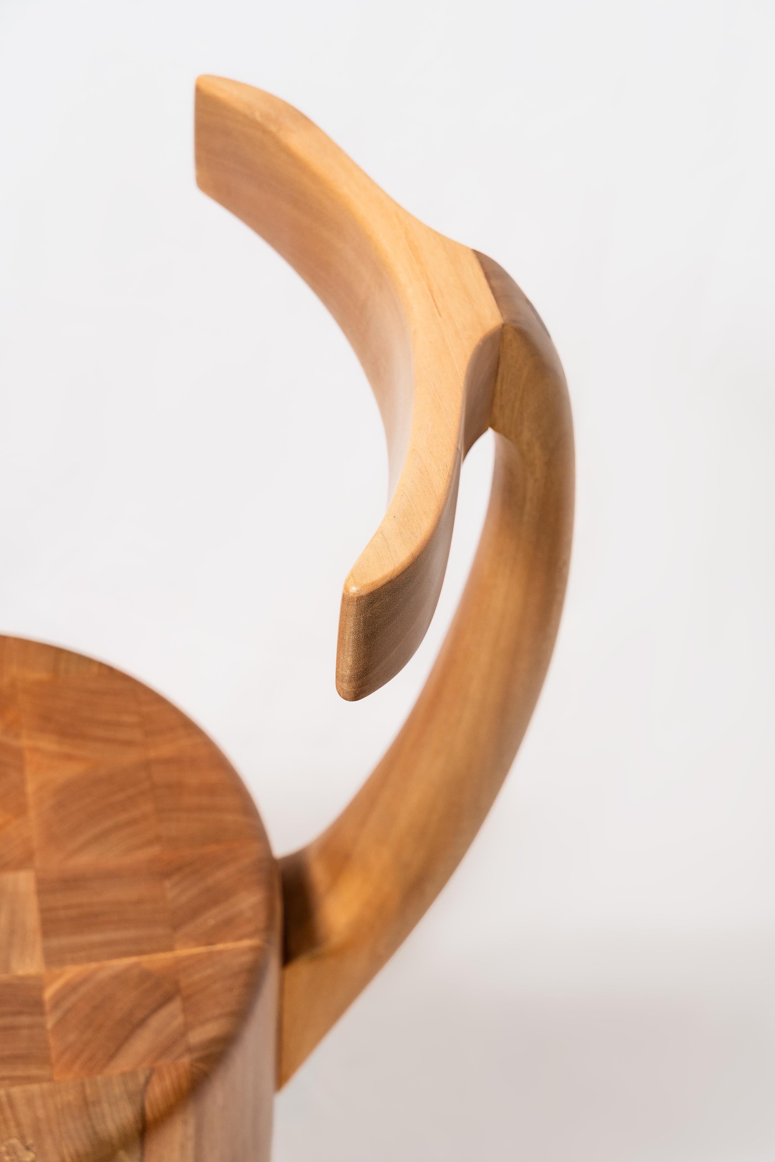 Carved contemporary chair, inspired by an elephant, handmade from solid Brazilian wood For Sale