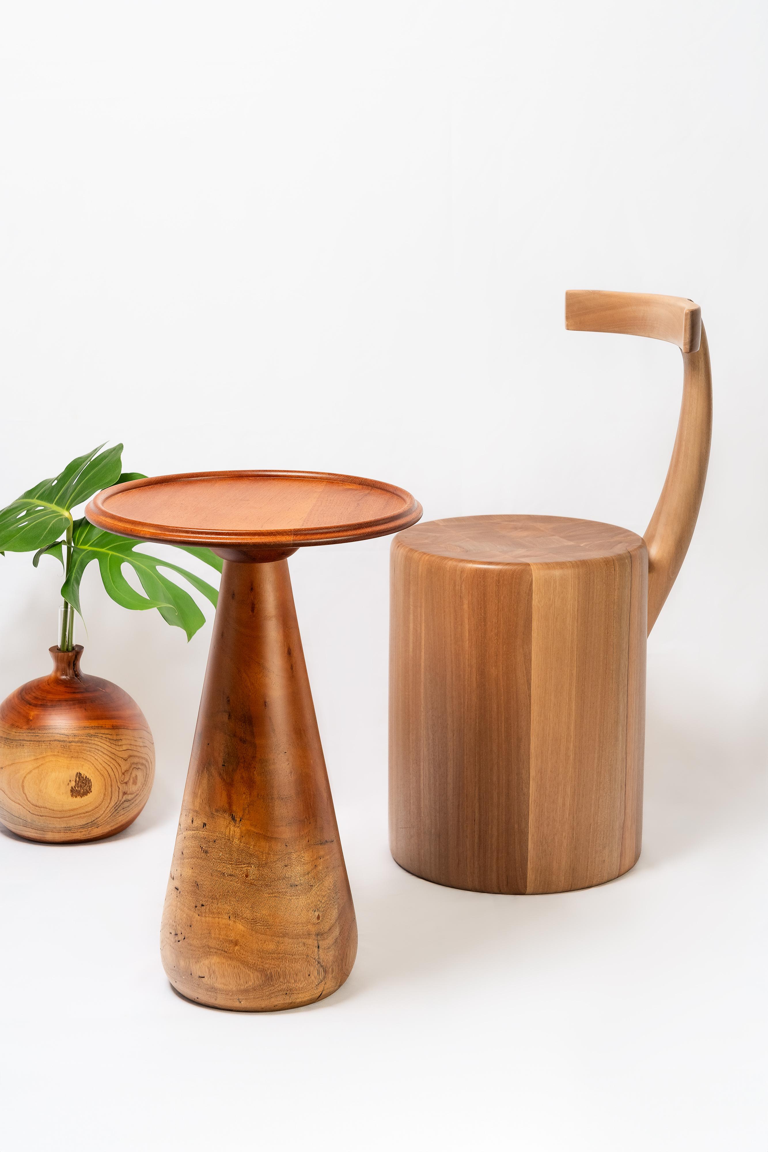contemporary chair, inspired by an elephant, handmade from solid Brazilian wood For Sale 2