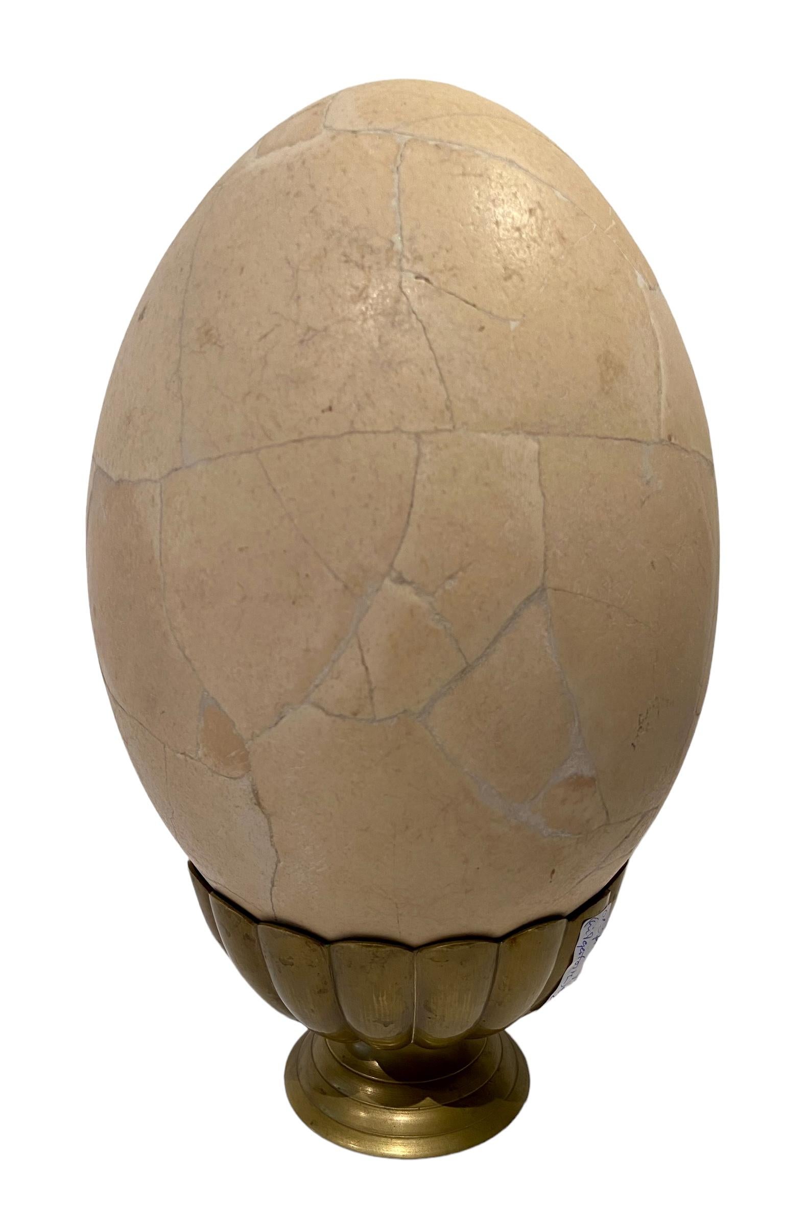Elephant bird egg from Madagascar.
The largest egg ever from a living creature; it is from the extinct elephant bird. Assembled from the shards of several eggs. 
Age: 1,000 to 1,500 years old. Length: 31 cm. Diameter: 22 cm.
Presented on a brass