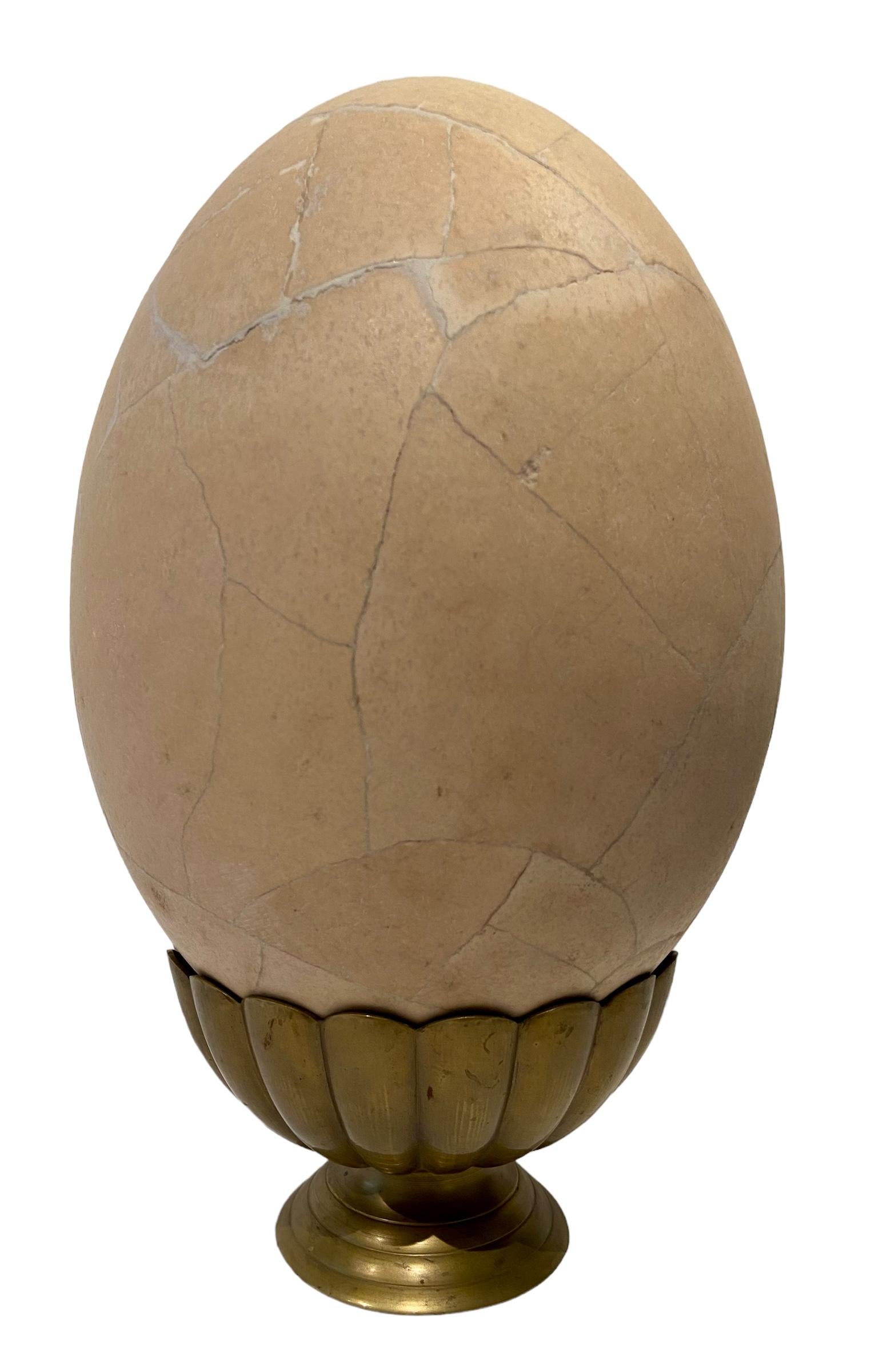 Médiéval œuf d'oiseau d'éléphant en vente