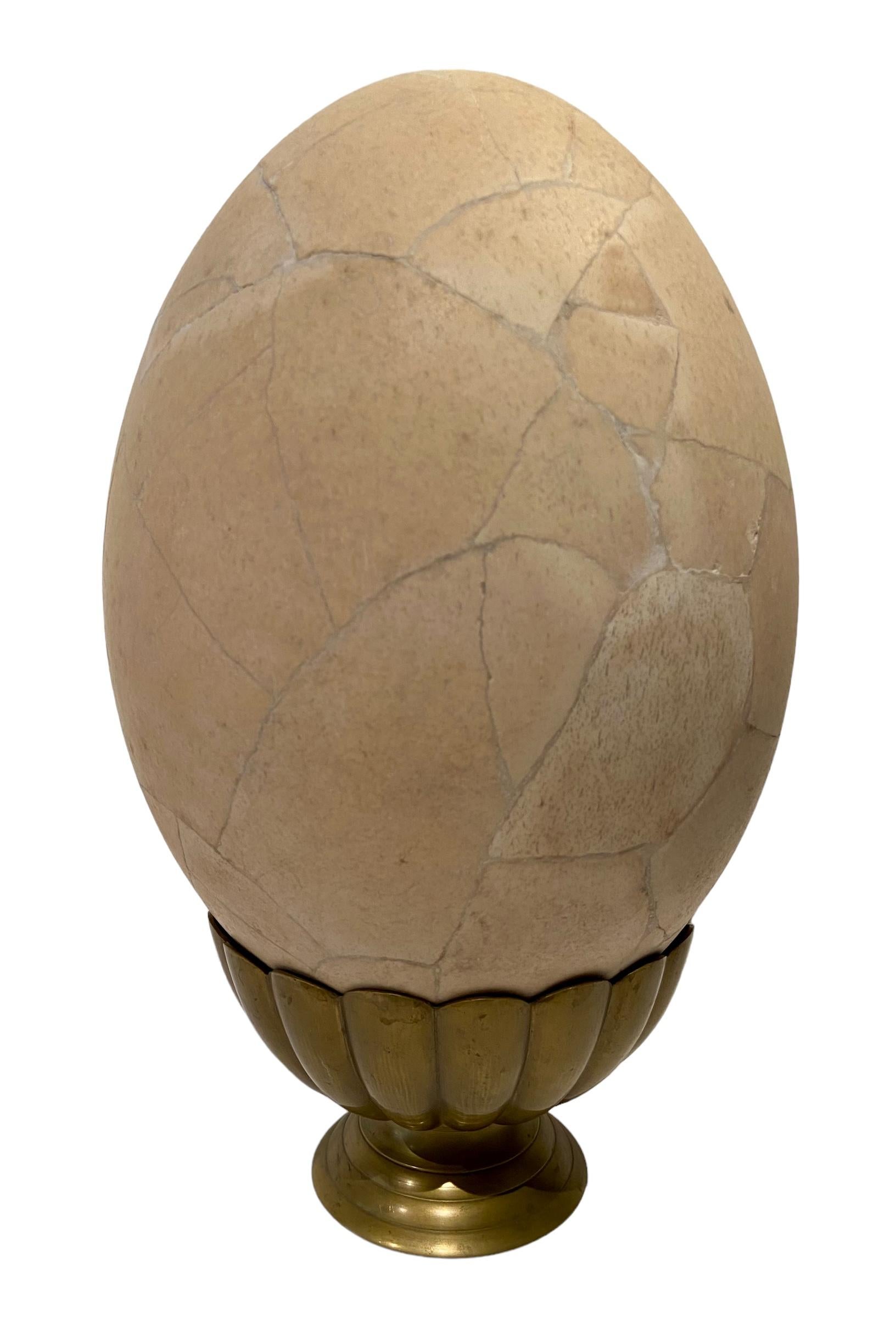 Malagasy Elephant bird egg