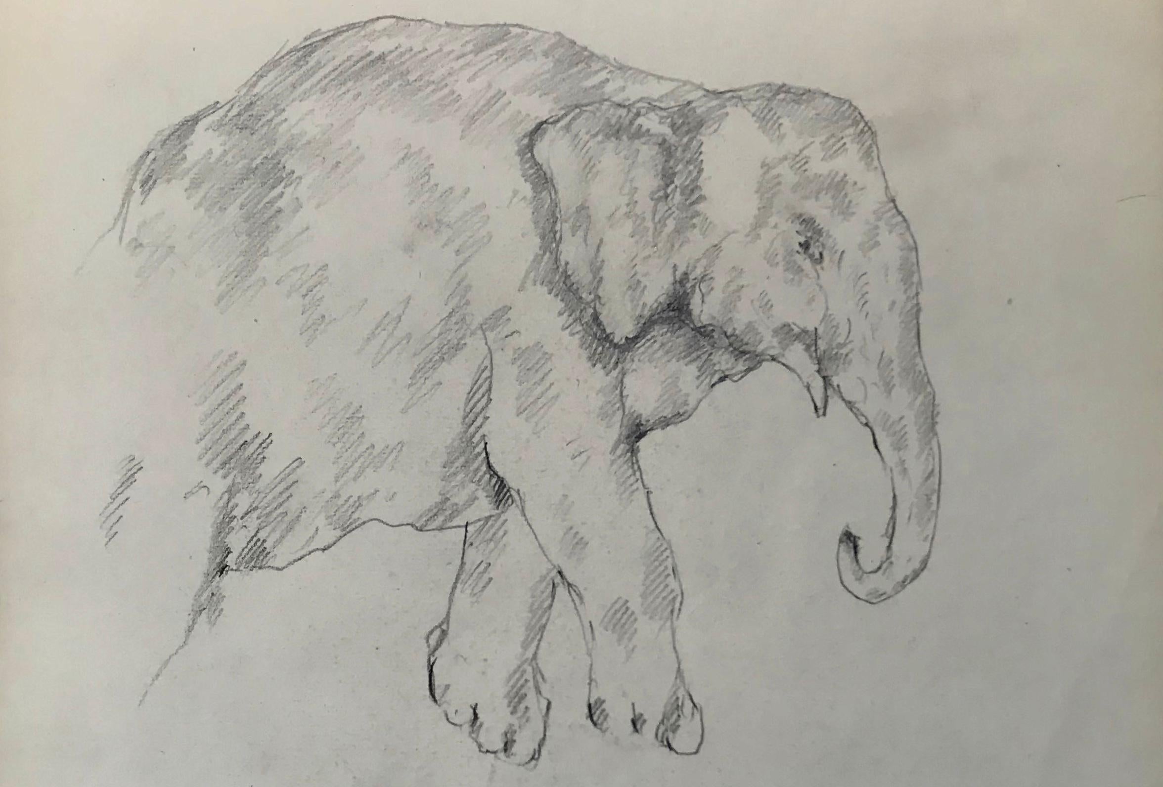 Elefantenzeichnung, Guido Righetti, 1919. Originale italienische Bleistiftzeichnungen/Skizzen eines Elefanten in verschiedenen Posen aus einer Serie, die Righetti für seine Bronzeskulpturen anfertigte, darunter ein Wildschwein, ein Elefant, ein