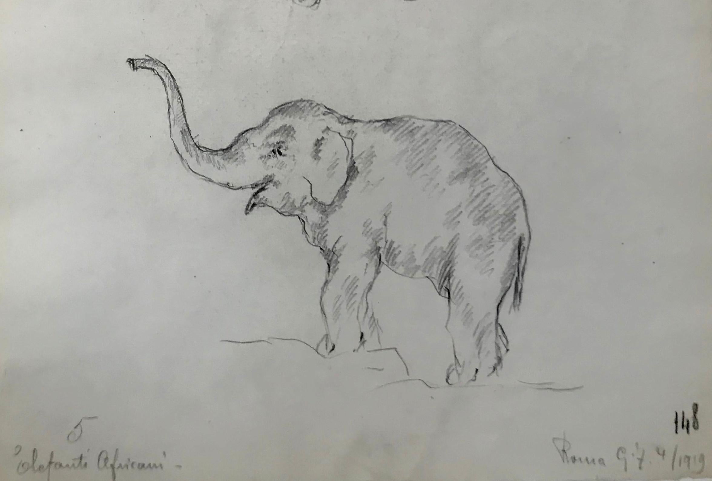 rembrandt elephant sketch