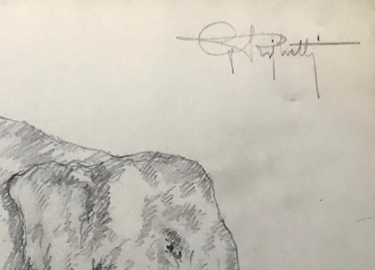 Elefanten-Zeichnung:: Guido Righetti:: 1919 (Italienisch) im Angebot