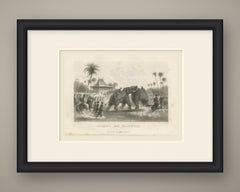 Elephant Fight in India, Spearmen and Horsemen, Antique Engraving, 1859