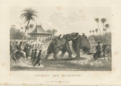 Elephant Fight in India, Spearmen and Horsemen, Antique Engraving, 1859
