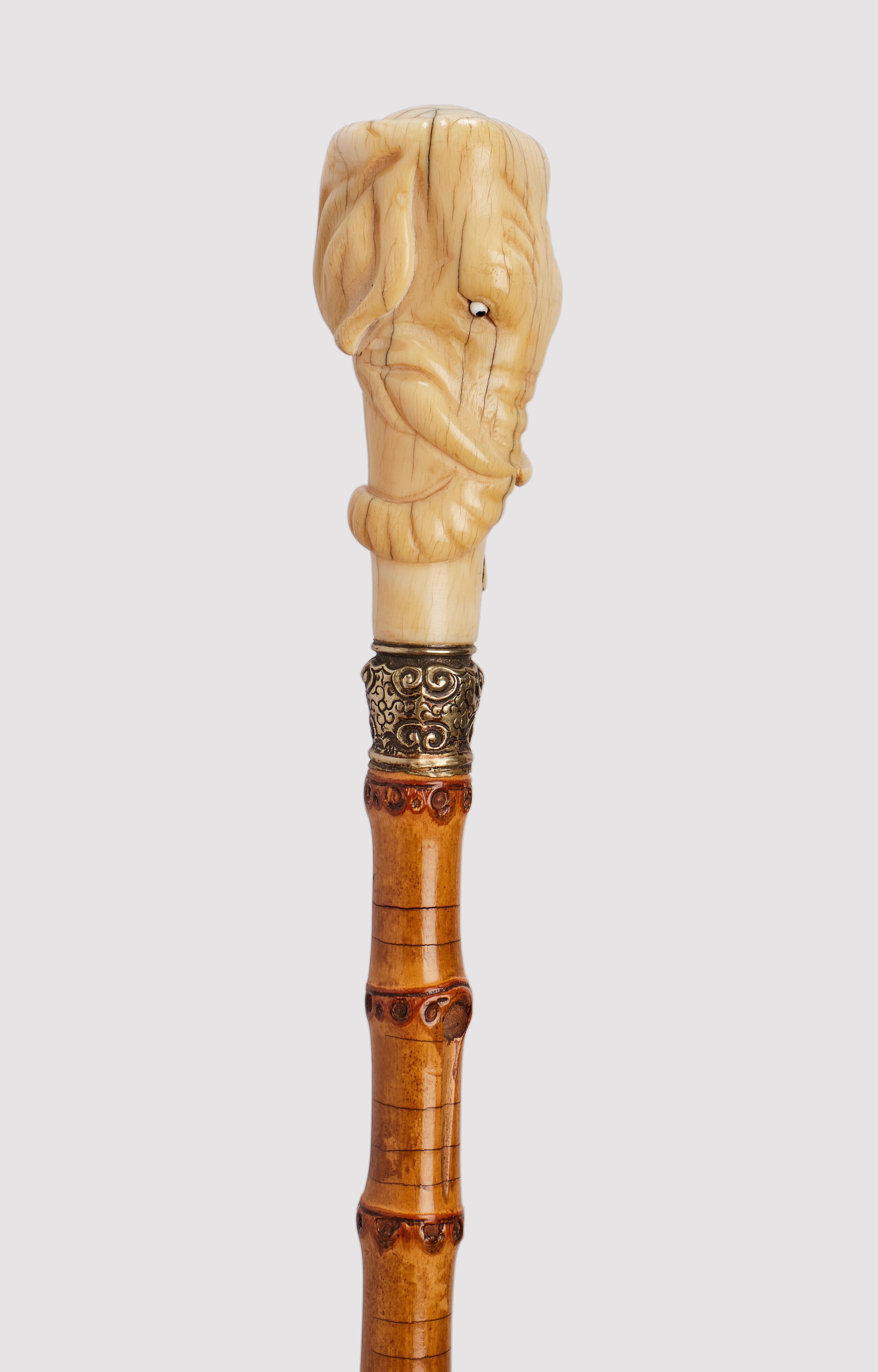 Walking stick: ivory carved handle depicting an elephant’s head, with twisted trunk all around. Silver gilt ring. Bamboo wooden shaft. Horne and iron ferrule. UK circa 1880.                                                                            